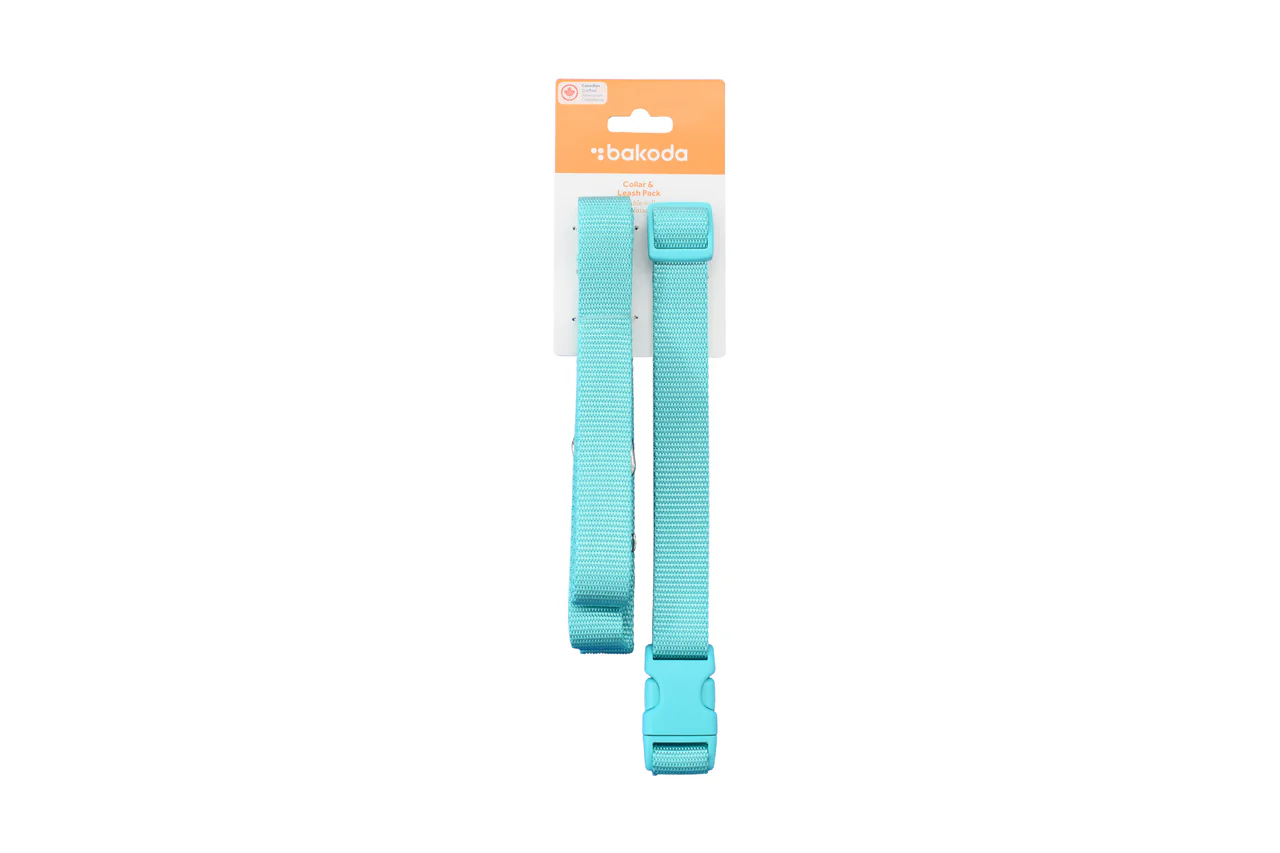 RC Pets Bakoda Collar & Leash Set Teal