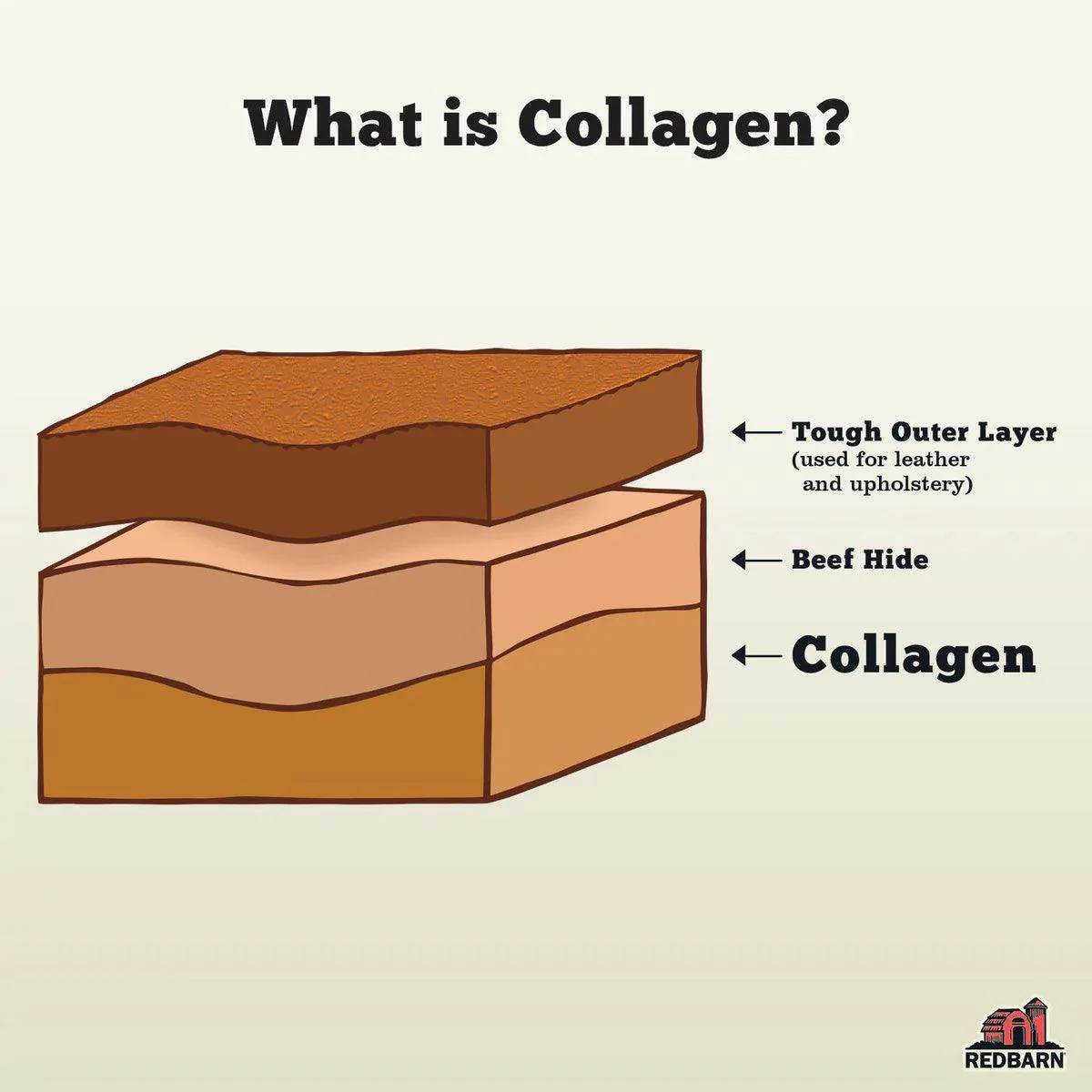 Red Barn Collagen Dog Treats Braid - Image 3