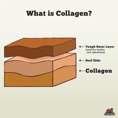 Red Barn Collagen Dog Treats Ring - Image 3