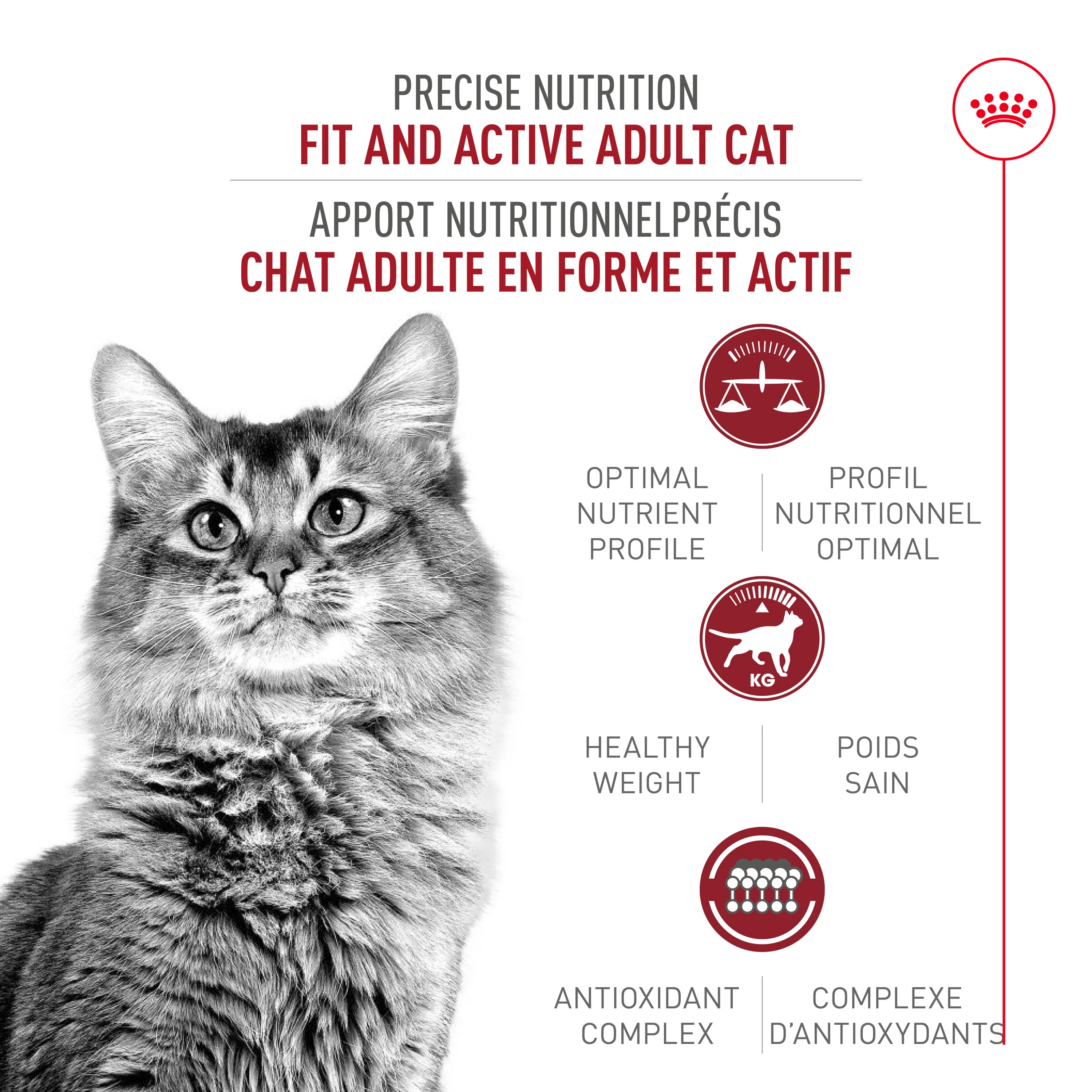 Royal Canin Adult Fit & Active Dry Instinctive Cat Food - Image 2