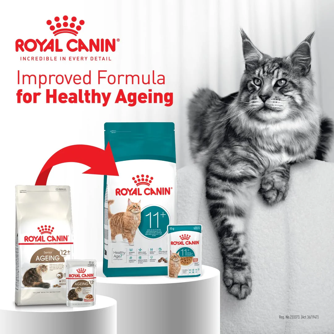 Royal Canin Feline Health Nutrition Aging 11+ Cat Food - Image 2