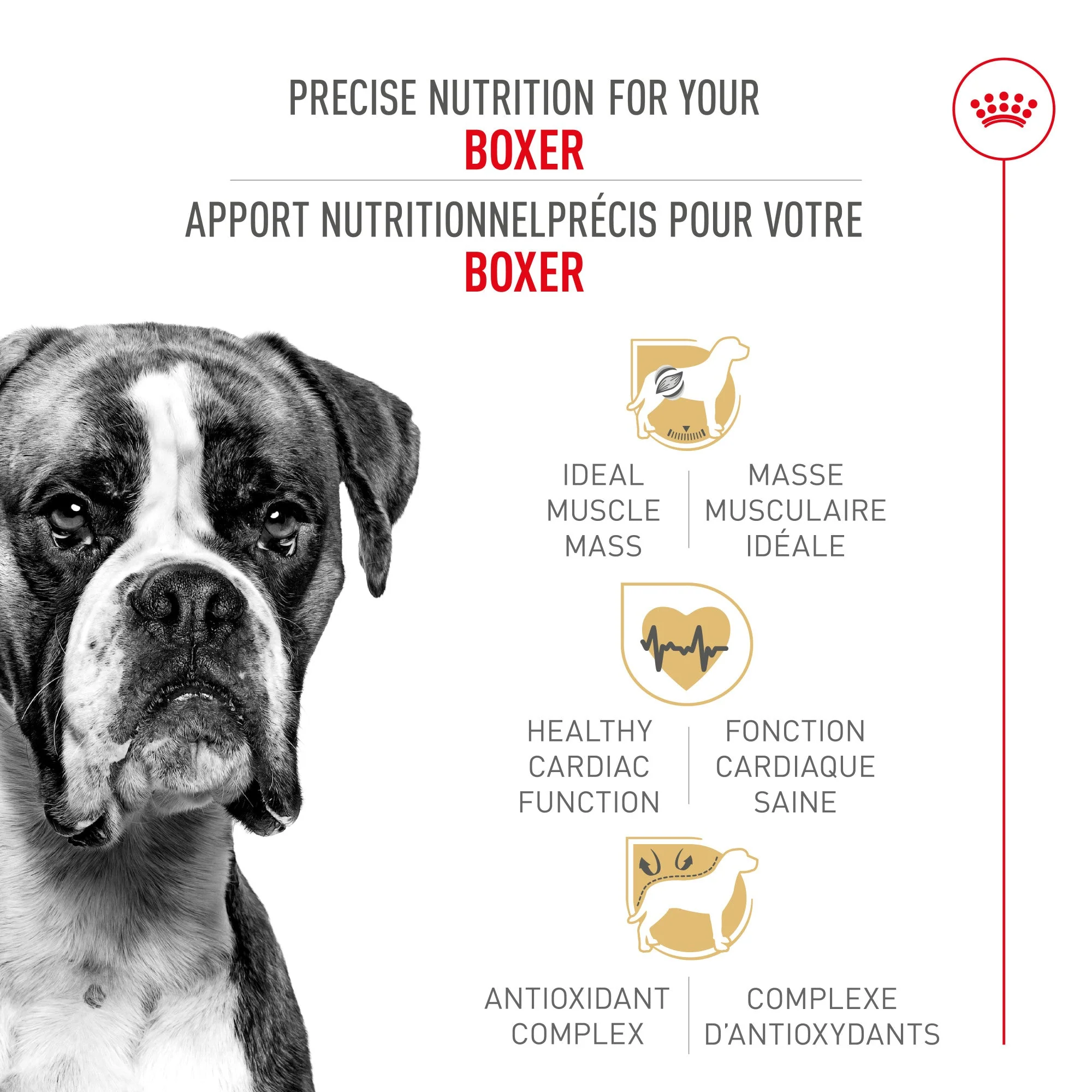 Royal Canin Breed Health Nutrition Boxer Adult Dry Dog Food - Image 2
