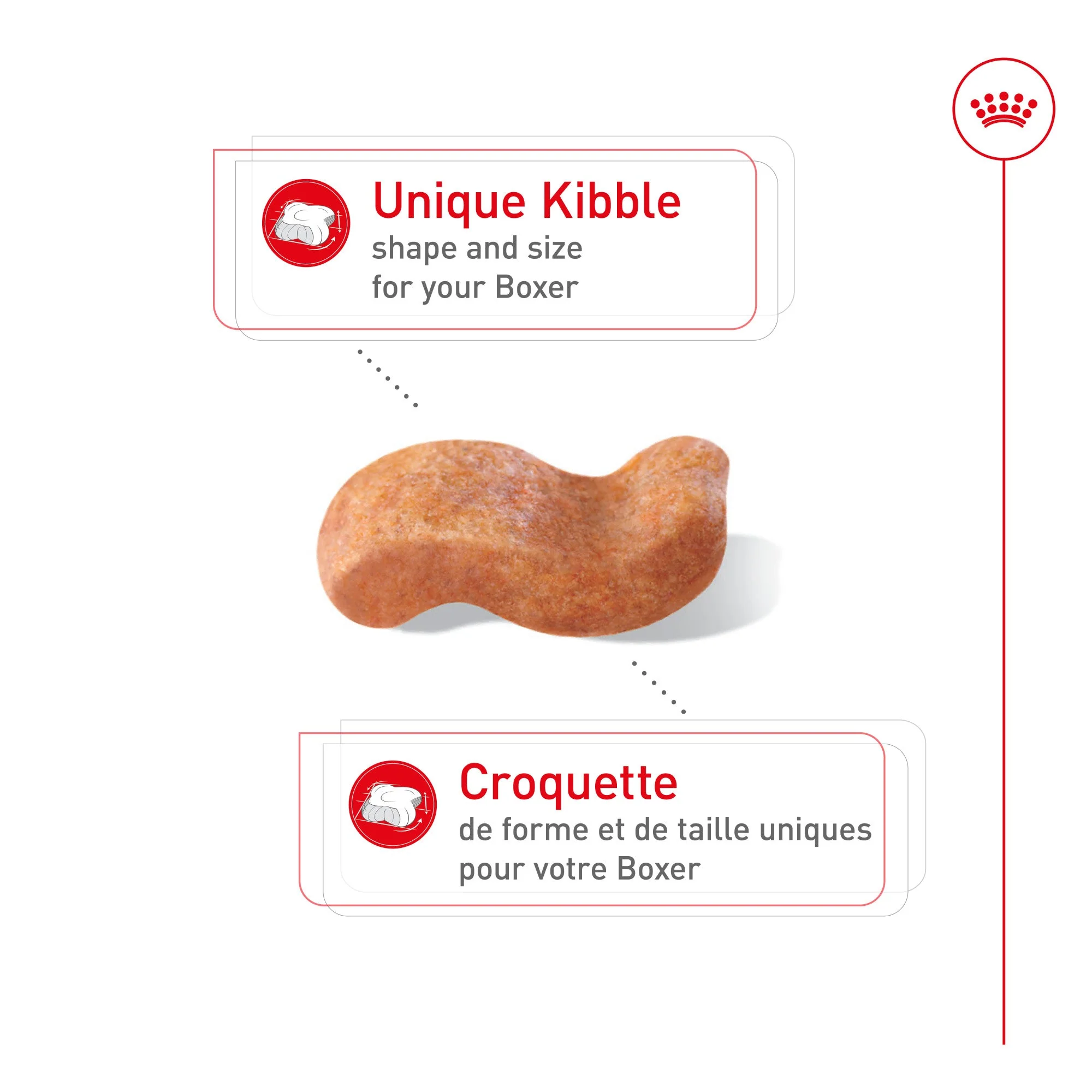 Royal Canin Breed Health Nutrition Boxer Adult Dry Dog Food - Image 3