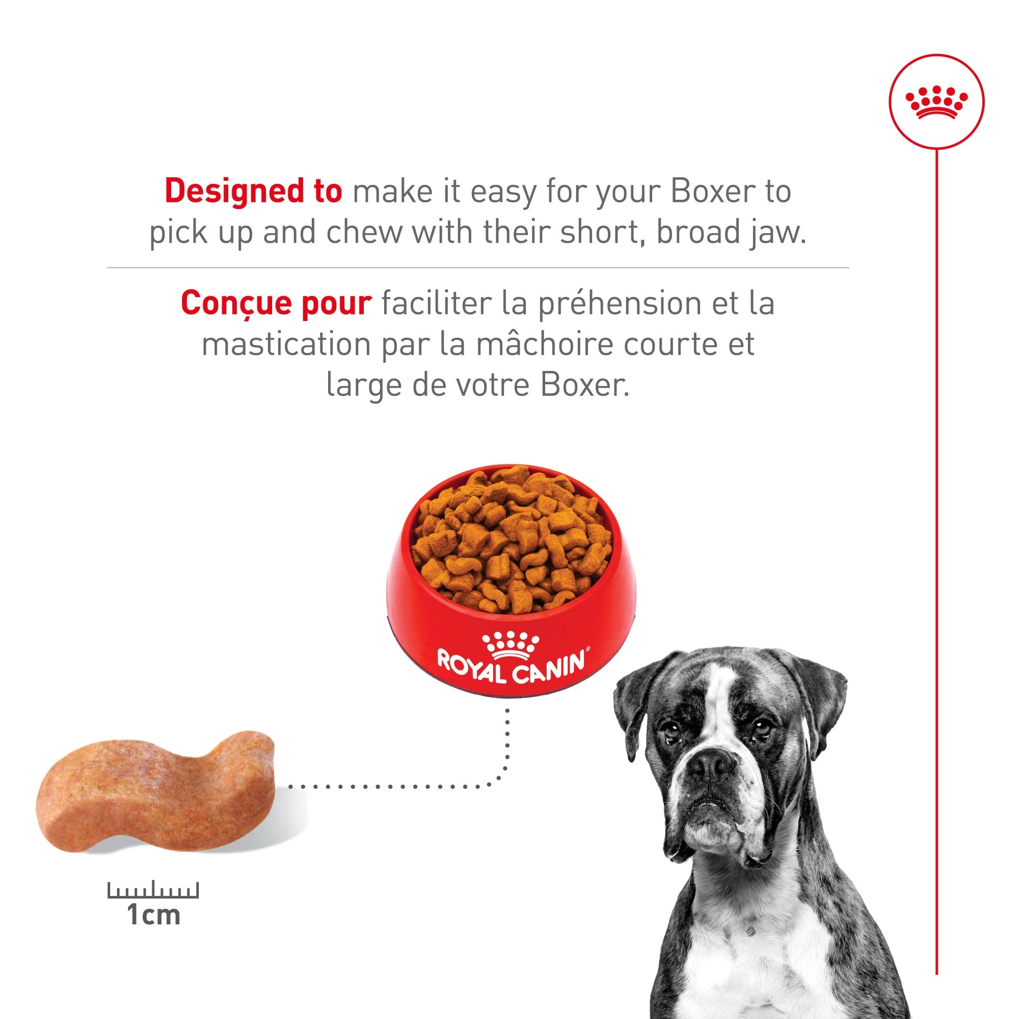 Royal Canin Breed Health Nutrition Boxer Adult Dry Dog Food - Image 4