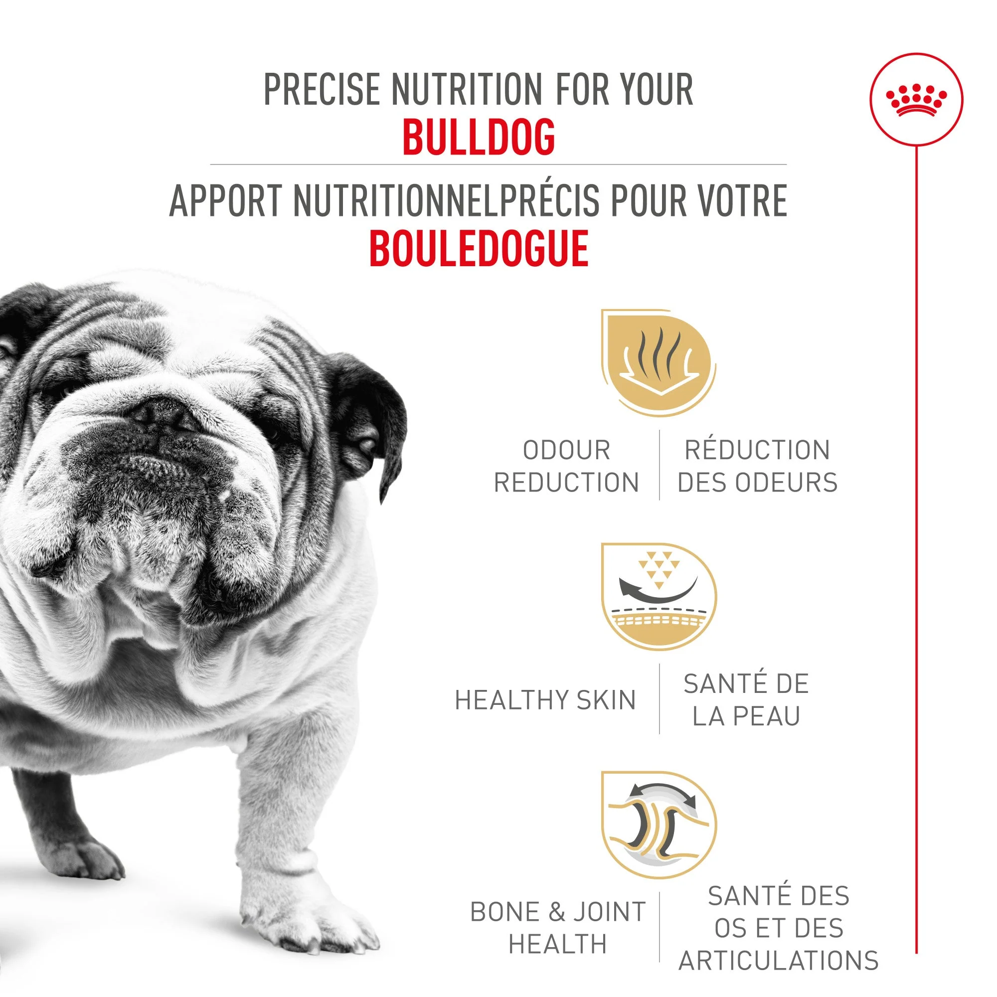 Royal Canin® Breed Health Nutrition® Bulldog Adult Dry Dog Food - Image 2
