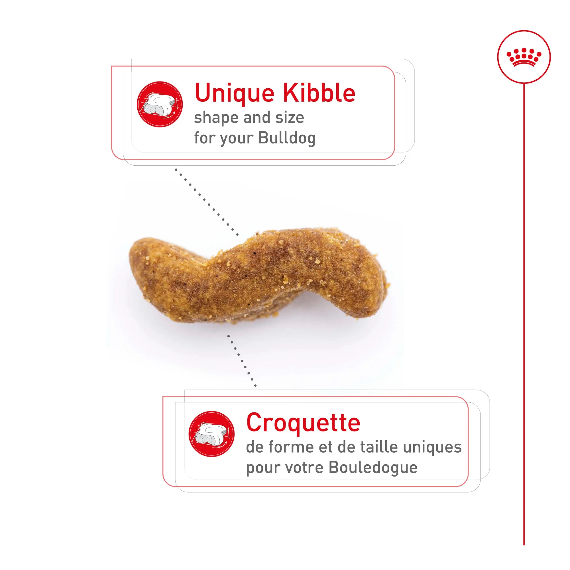 Royal Canin® Breed Health Nutrition® Bulldog Adult Dry Dog Food - Image 3