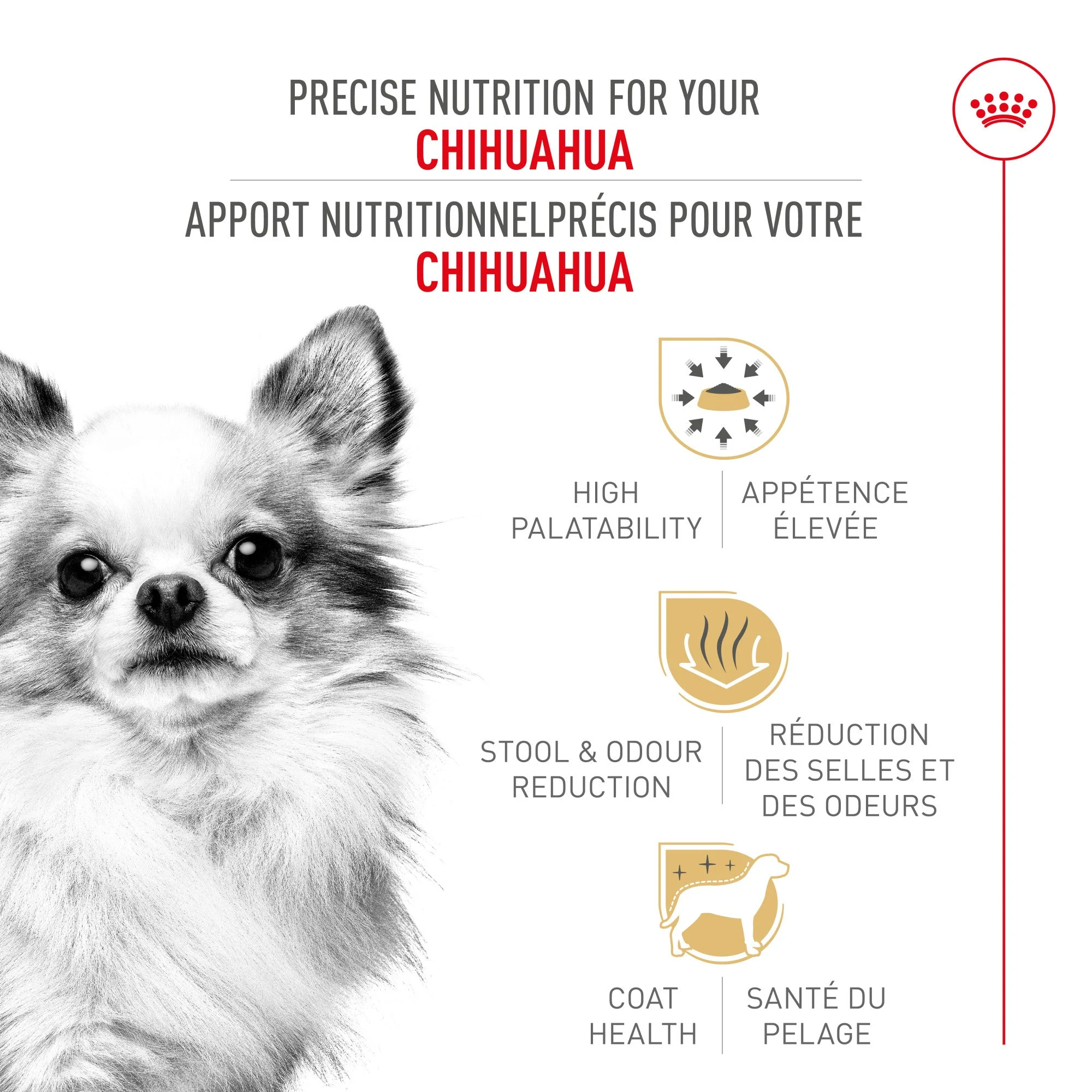 Royal Canin Breed Health Nutrition Chihuahua Adult Dry Dog Food - Image 2
