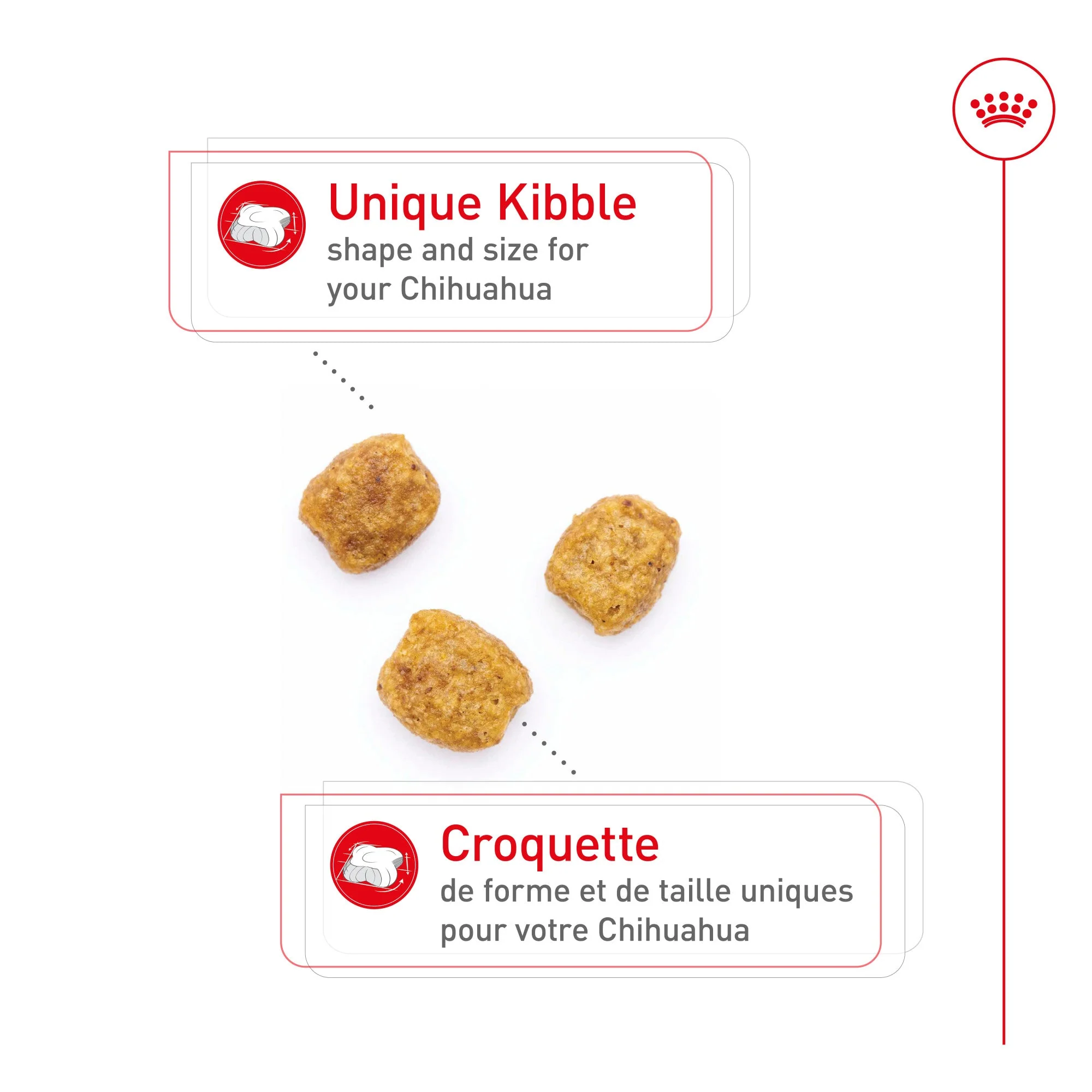 Royal Canin Breed Health Nutrition Chihuahua Adult Dry Dog Food - Image 3
