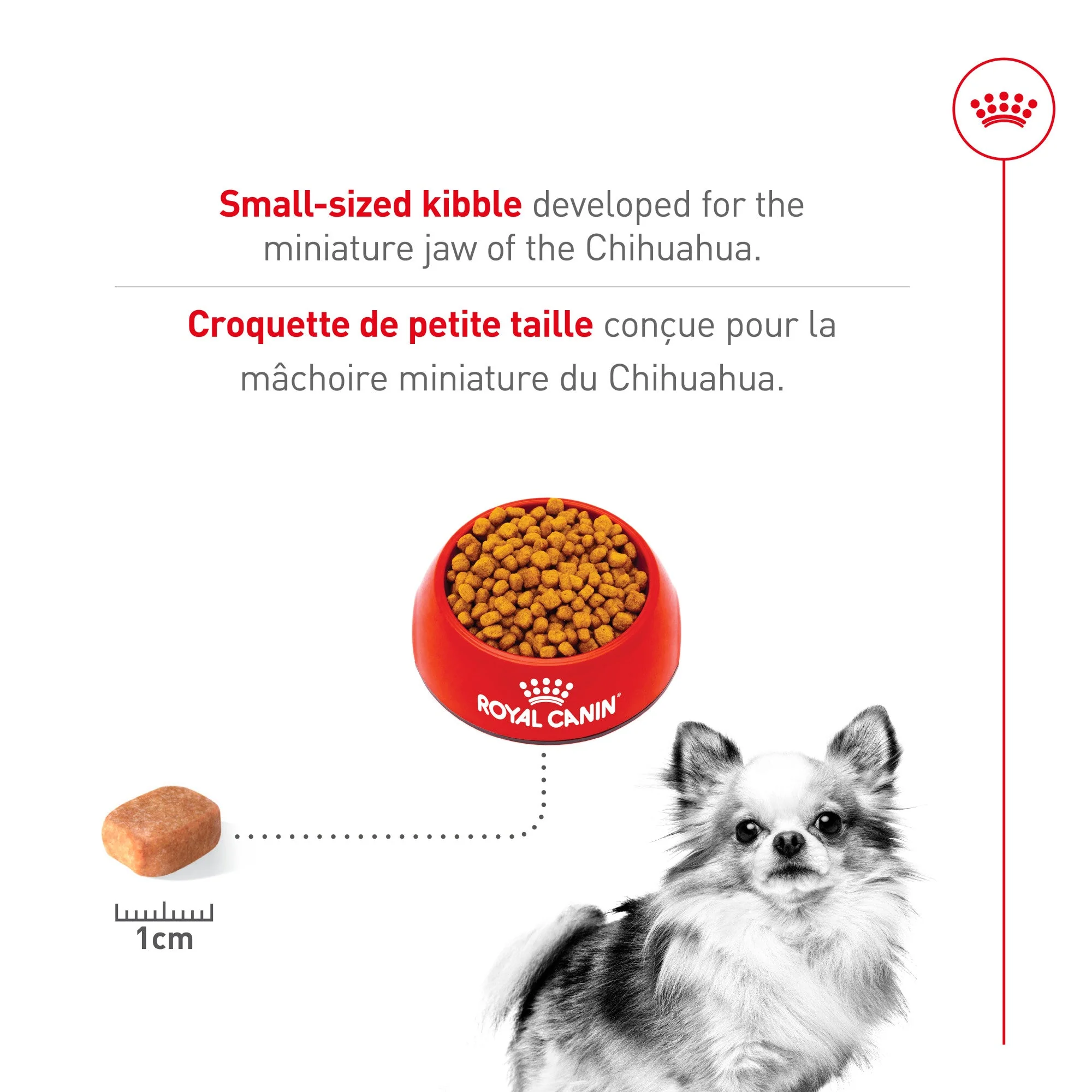 Royal Canin Breed Health Nutrition Chihuahua Adult Dry Dog Food - Image 4