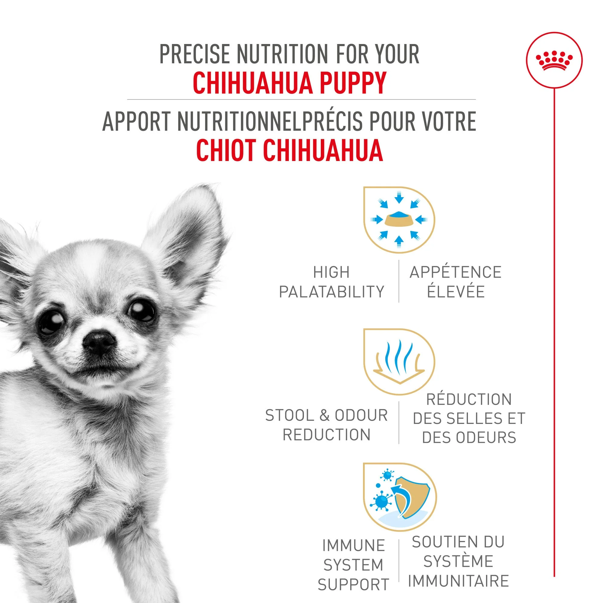 Royal Canin Breed Health Nutrition Chihuahua Puppy Dry Dog Food - Image 2