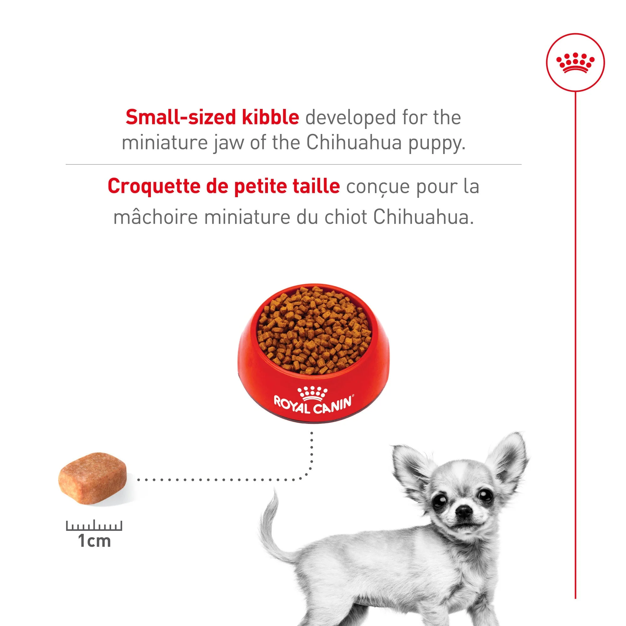 Royal Canin Breed Health Nutrition Chihuahua Puppy Dry Dog Food - Image 4