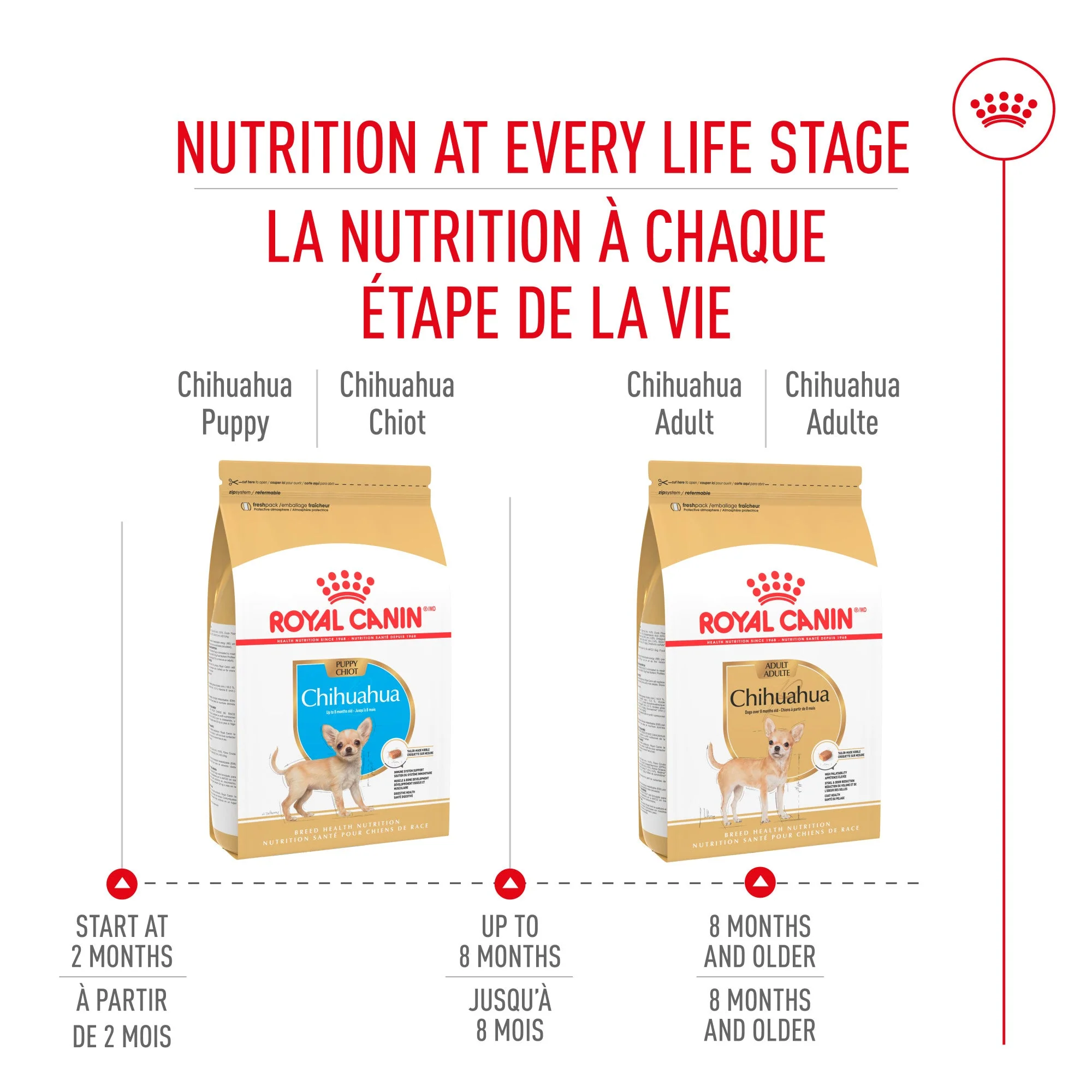 Royal Canin Breed Health Nutrition Chihuahua Puppy Dry Dog Food - Image 5