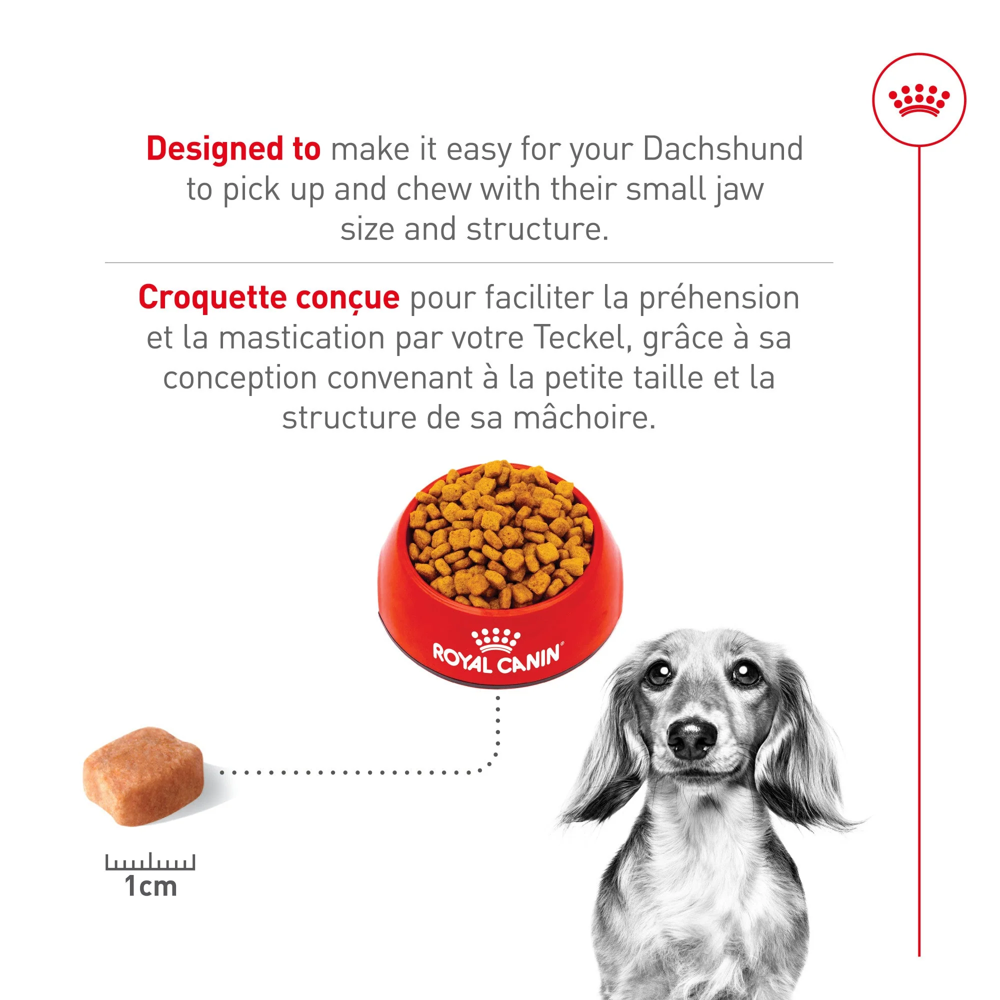 Royal Canin Breed Health Nutrition Dachshund Adult Dry Dog Food - Image 4