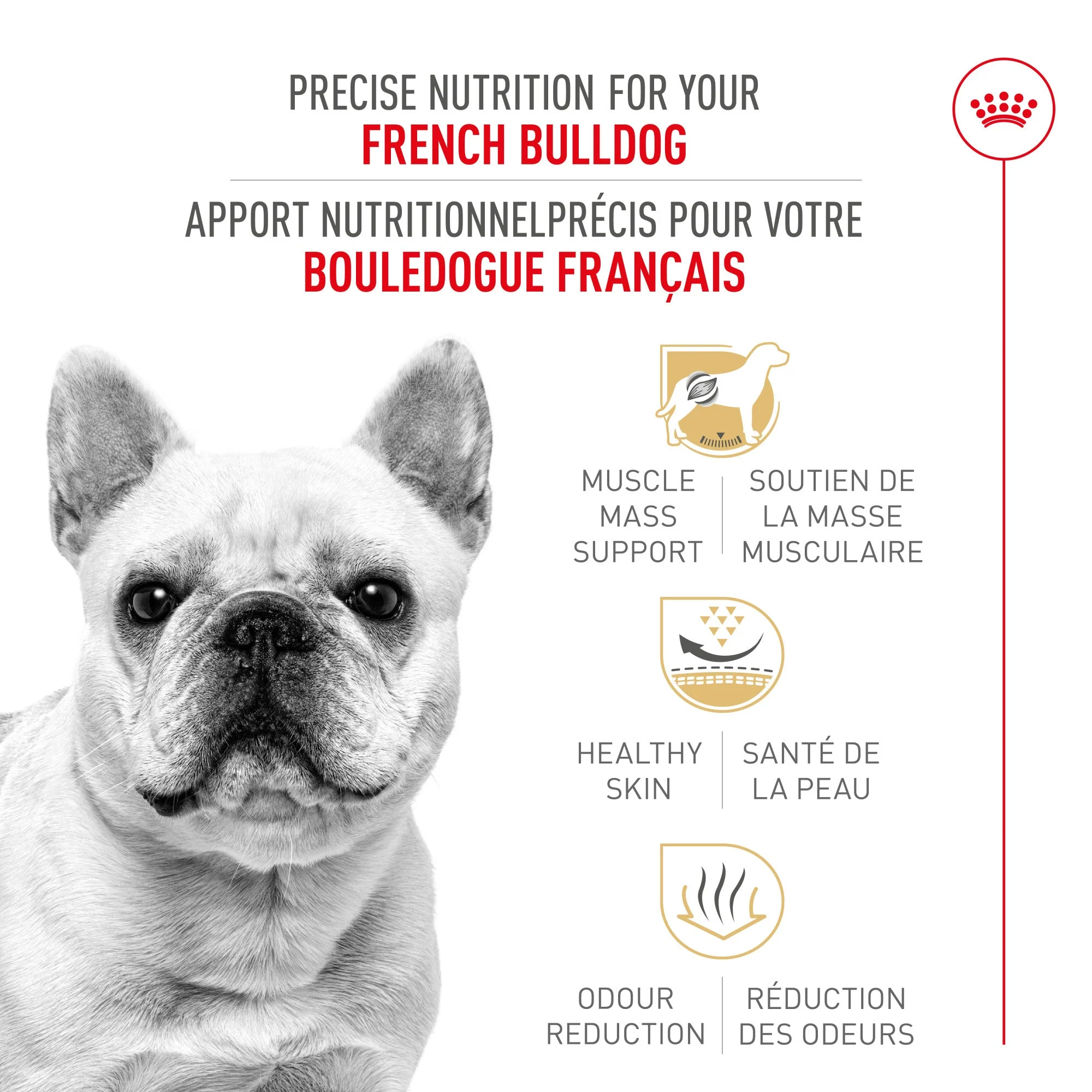 Royal Canin® Breed Health Nutrition® French Bulldog Adult Dry Dog Food - Image 4
