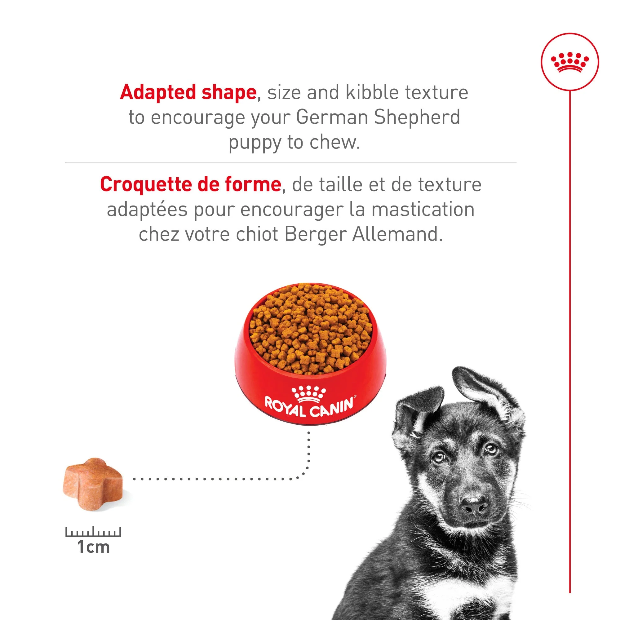 Royal Canin® Breed Health Nutrition® German Shepherd Puppy Dry Dog Food - Image 4