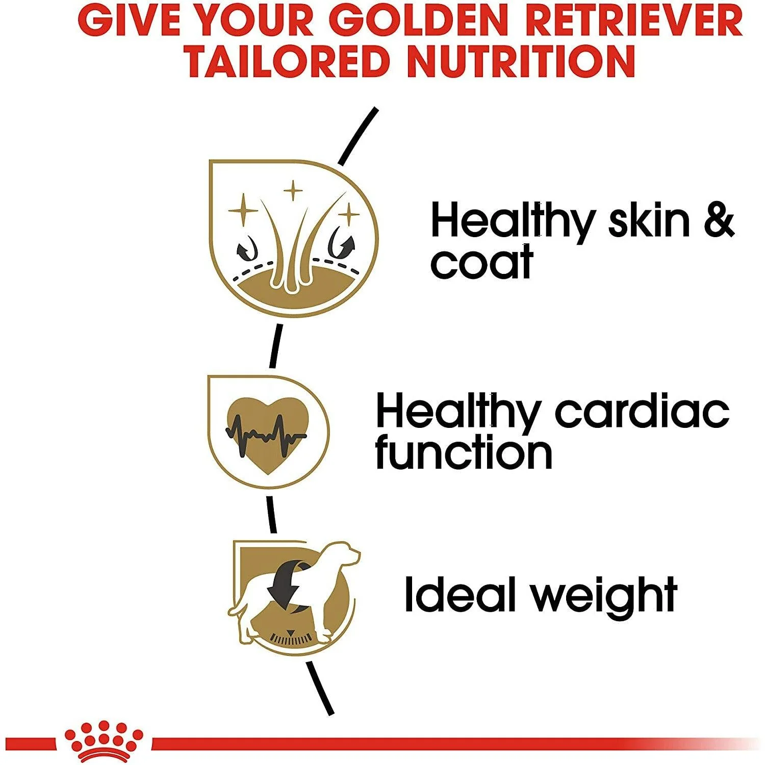 Royal Canin Breed Health Nutrition Golden Retriever Adult Dry Dog Food - Image 3