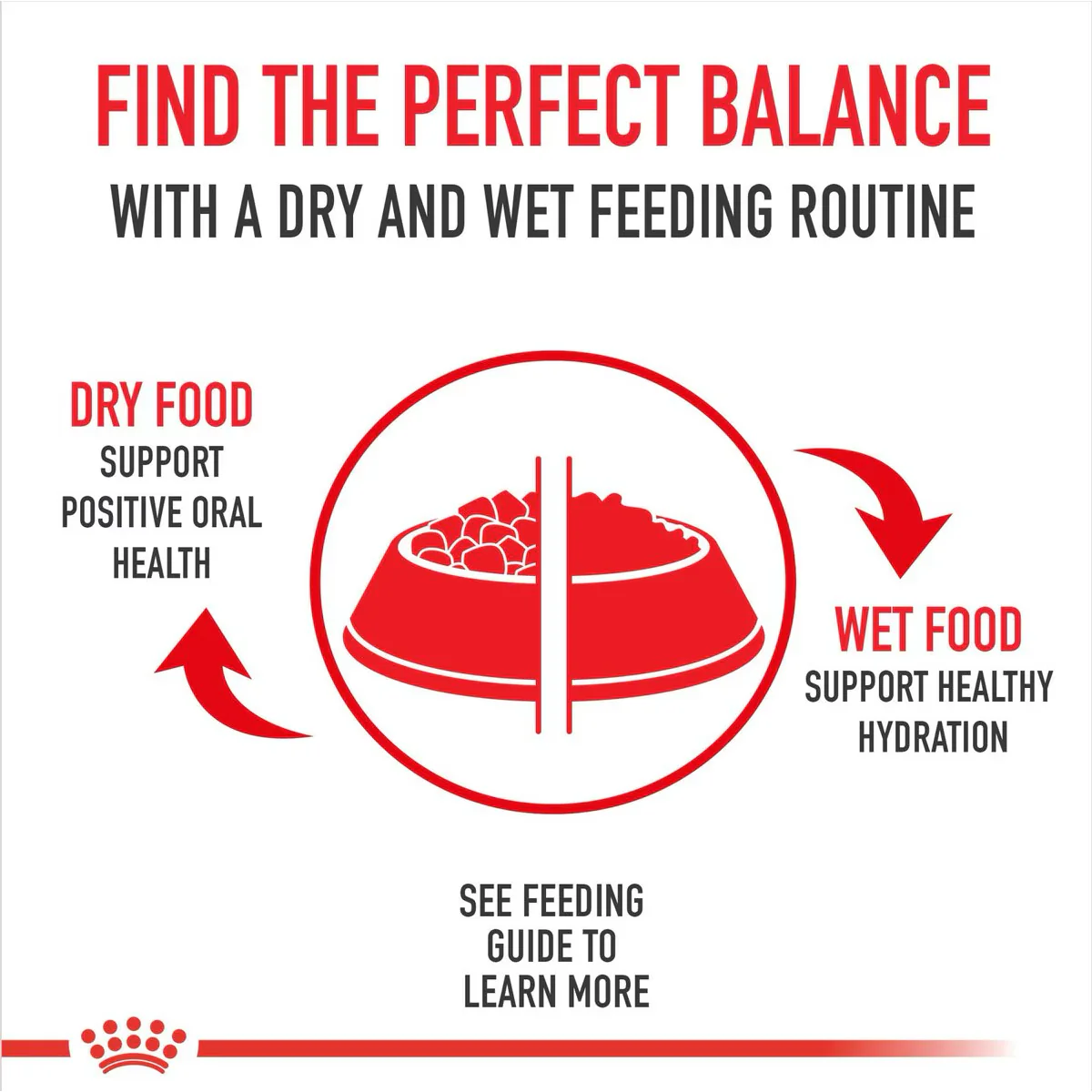 Royal Canin Breed Health Nutrition Golden Retriever Adult Loaf in Sauce Canned Dog Food - Image 3