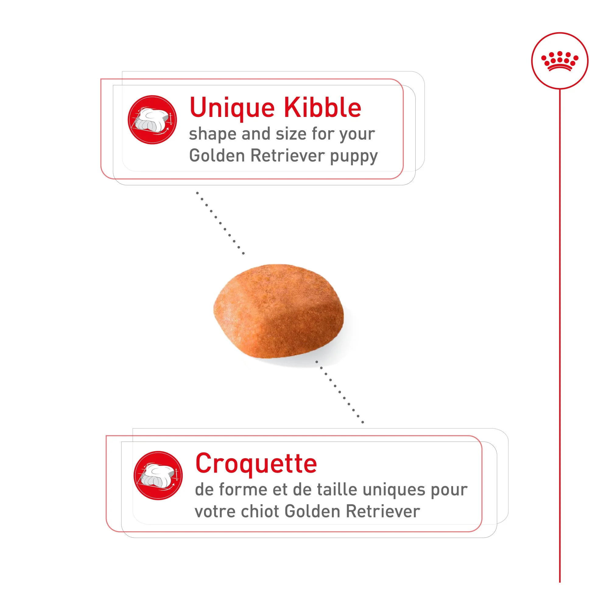Royal Canin® Breed Health Nutrition® Golden Retriever Puppy Dry Puppy Food - Image 3