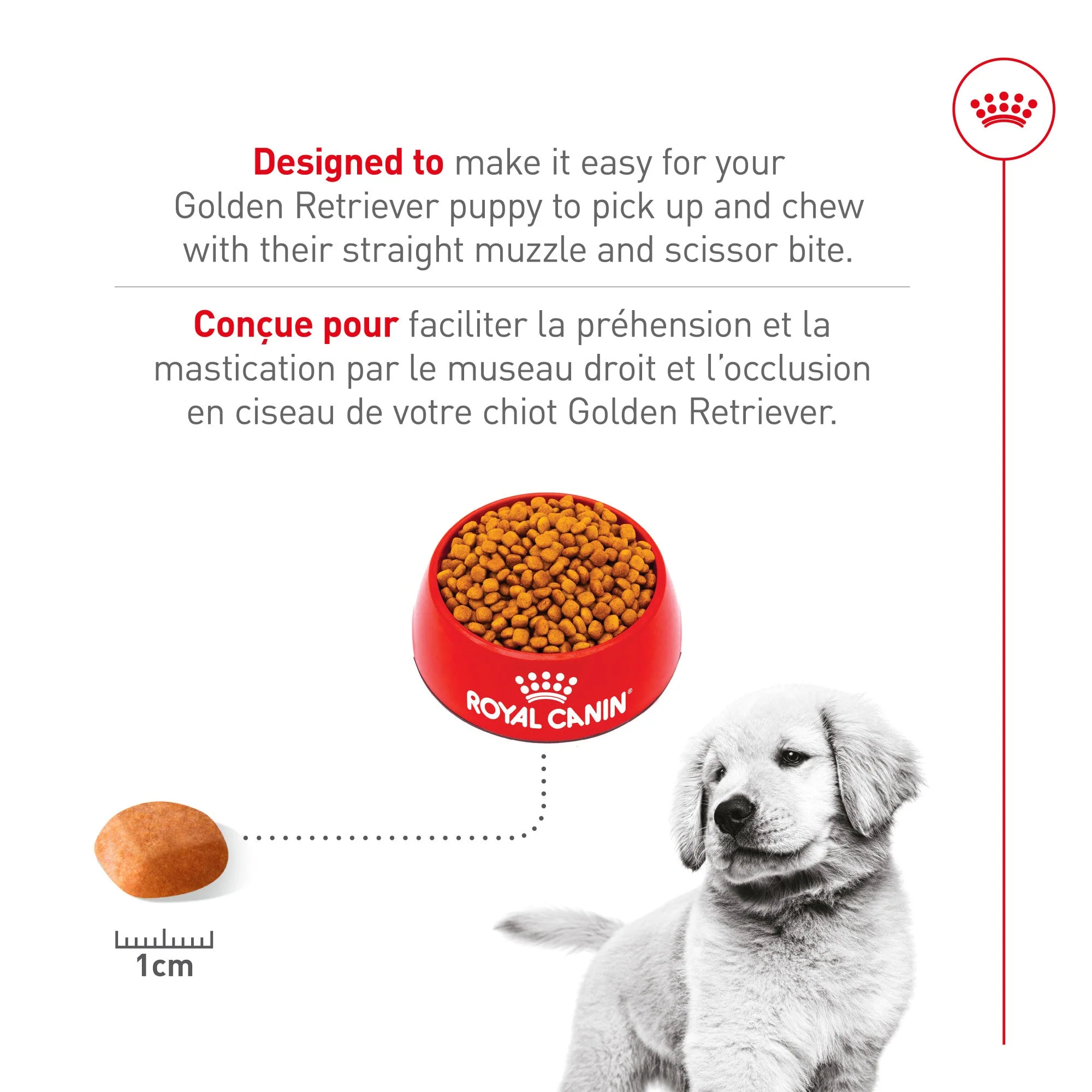 Royal Canin® Breed Health Nutrition® Golden Retriever Puppy Dry Puppy Food - Image 4