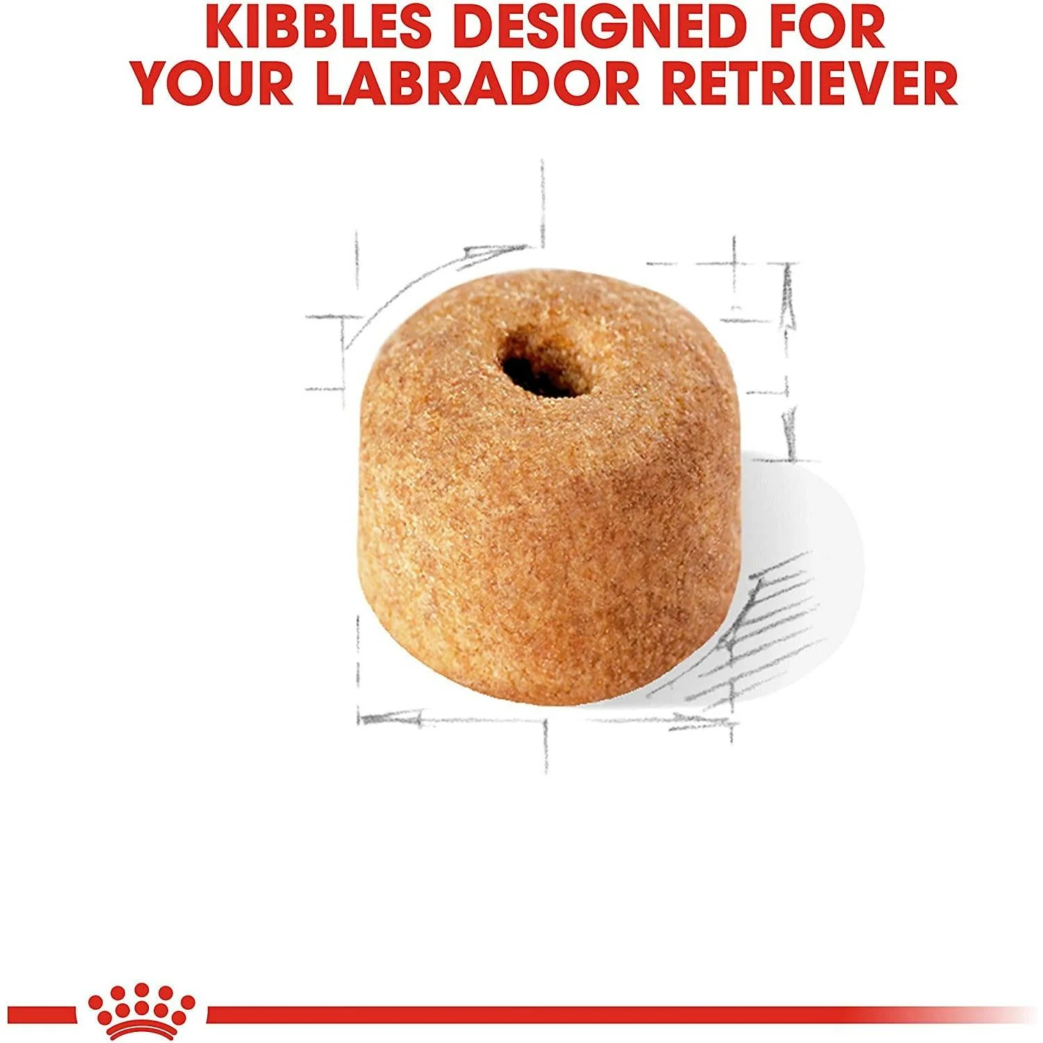 Royal Canin® Breed Health Nutrition® Labrador Retriever Adult Dry Dog Food - Image 2