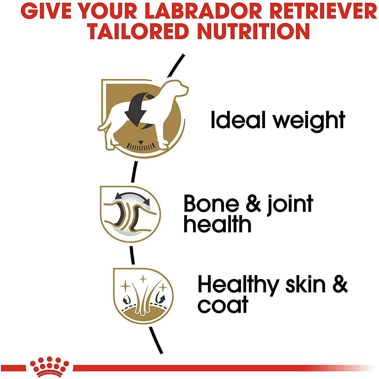 Royal Canin® Breed Health Nutrition® Labrador Retriever Adult Dry Dog Food - Image 3