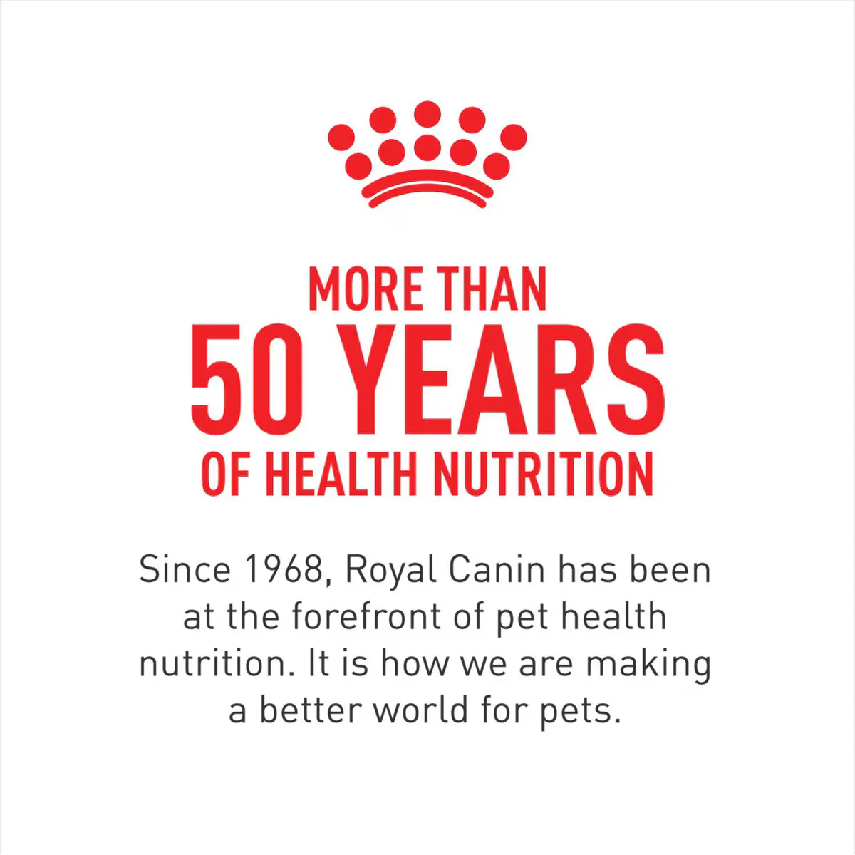 Royal Canin Breed Health Nutrition Labrador Retriever Adult Loaf in Sauce Canned Dog Food - Image 8