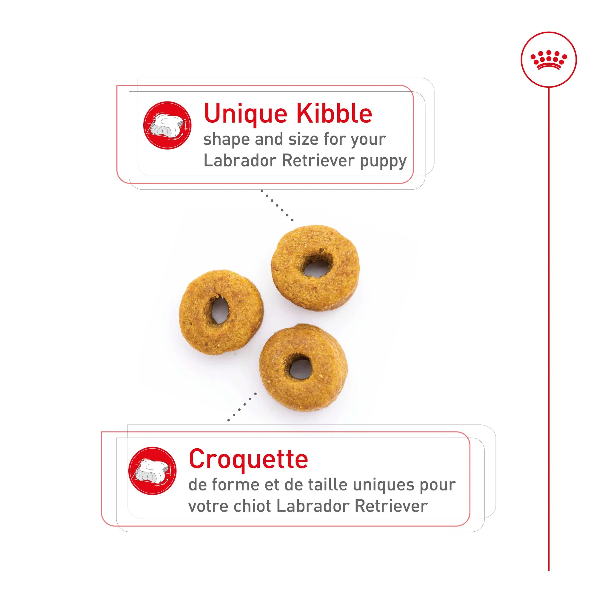 Royal Canin® Breed Health Nutrition® Labrador Retriever Puppy Dry Puppy Food - Image 3
