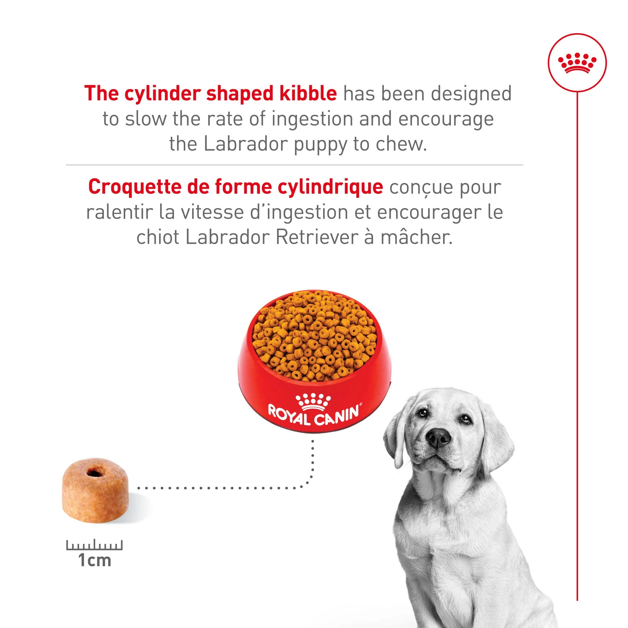 Royal Canin® Breed Health Nutrition® Labrador Retriever Puppy Dry Puppy Food - Image 4