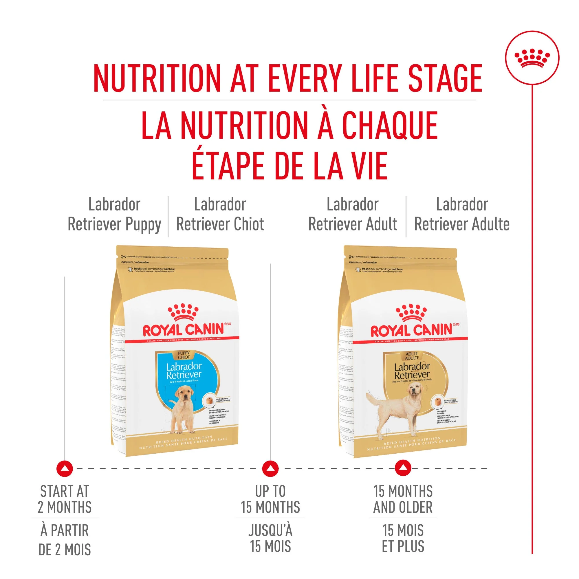 Royal Canin® Breed Health Nutrition® Labrador Retriever Puppy Dry Puppy Food - Image 7