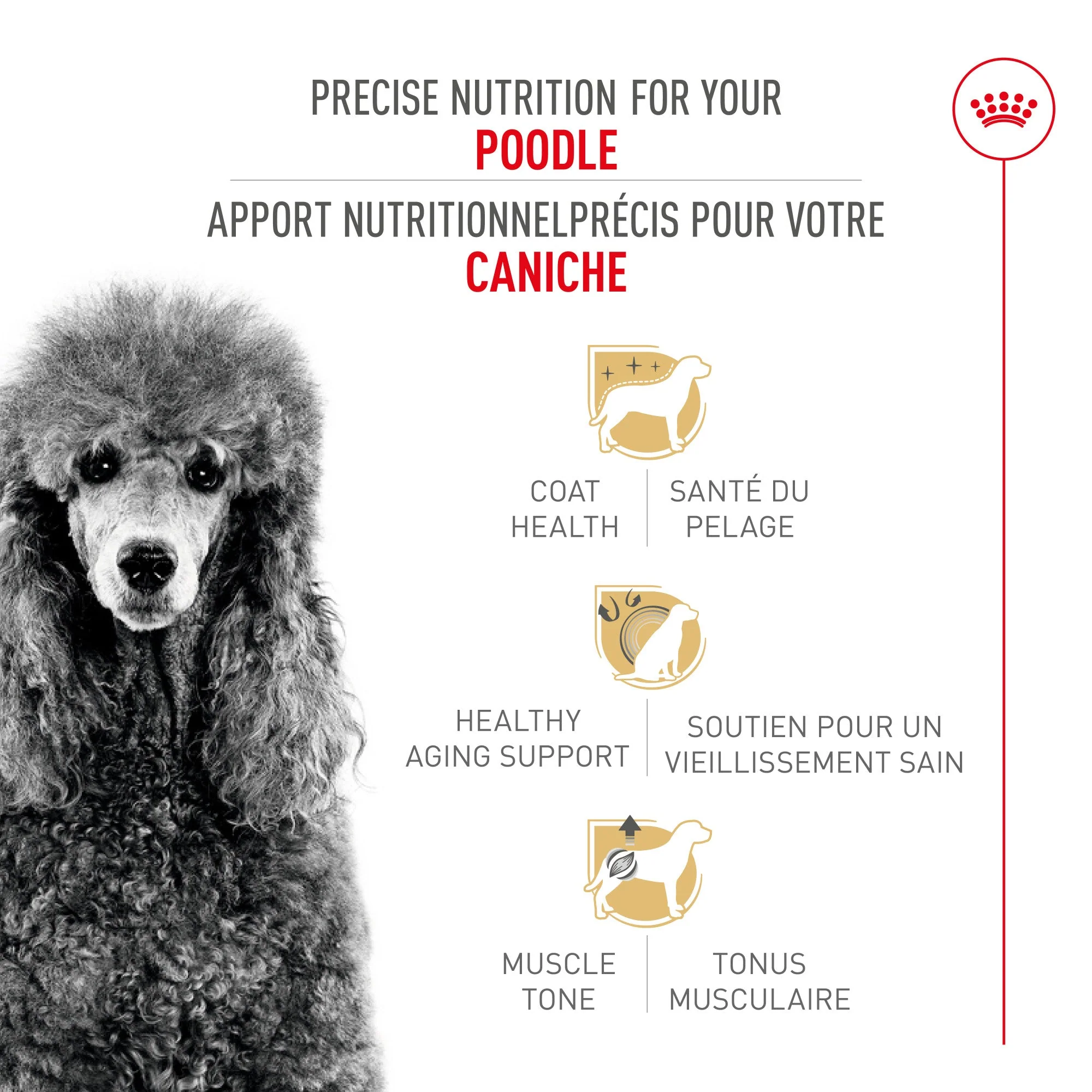 Royal Canin® Breed Health Nutrition® Poodle Adult Dry Dog Food - Image 2