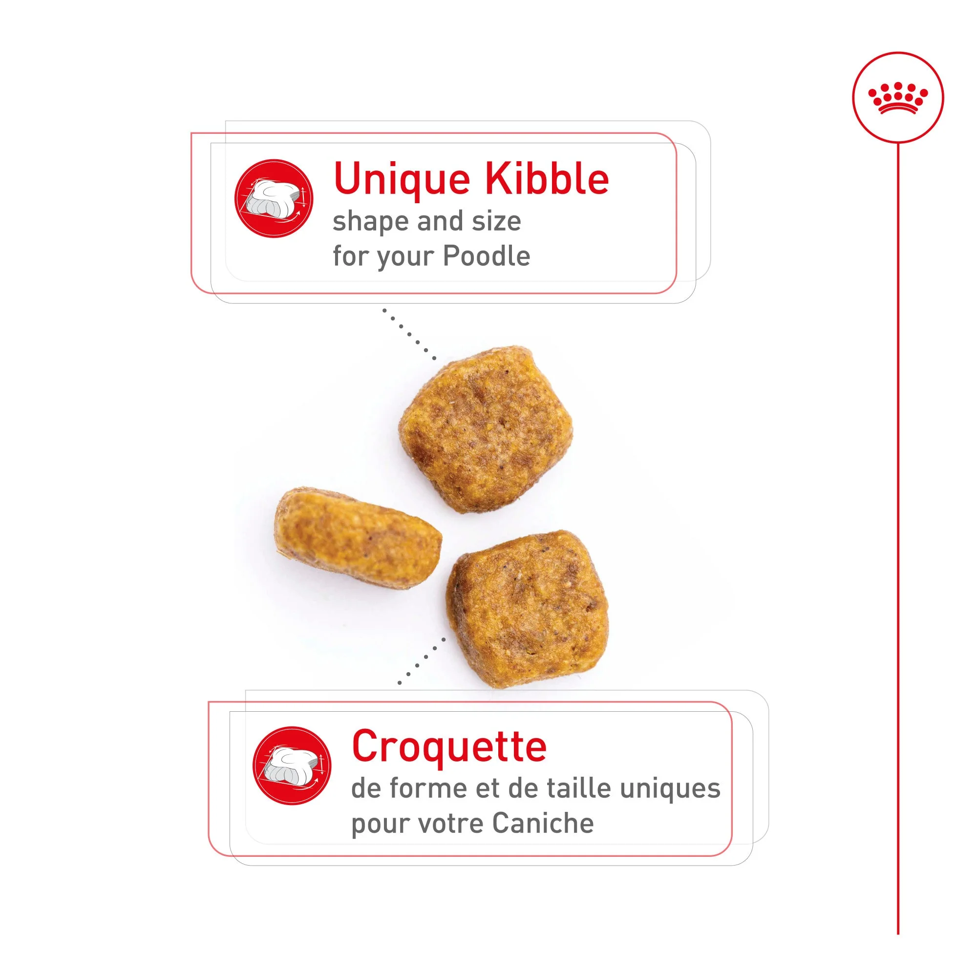 Royal Canin® Breed Health Nutrition® Poodle Adult Dry Dog Food - Image 3