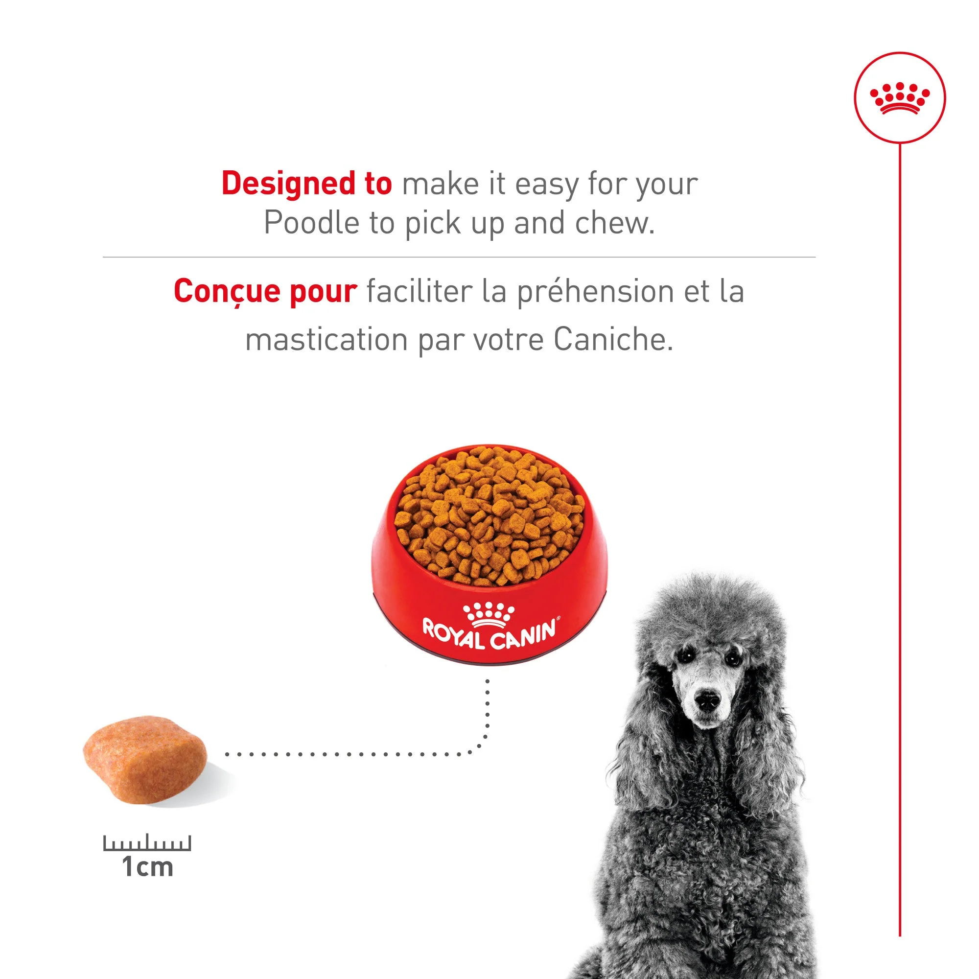Royal Canin® Breed Health Nutrition® Poodle Adult Dry Dog Food - Image 4