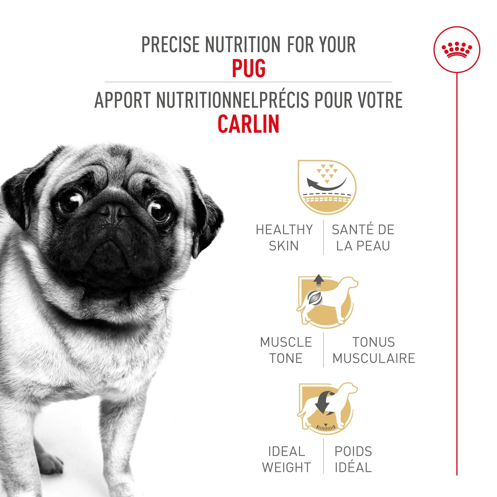 Royal Canin® Breed Health Nutrition® Pug Adult Dry Dog Food - Image 2