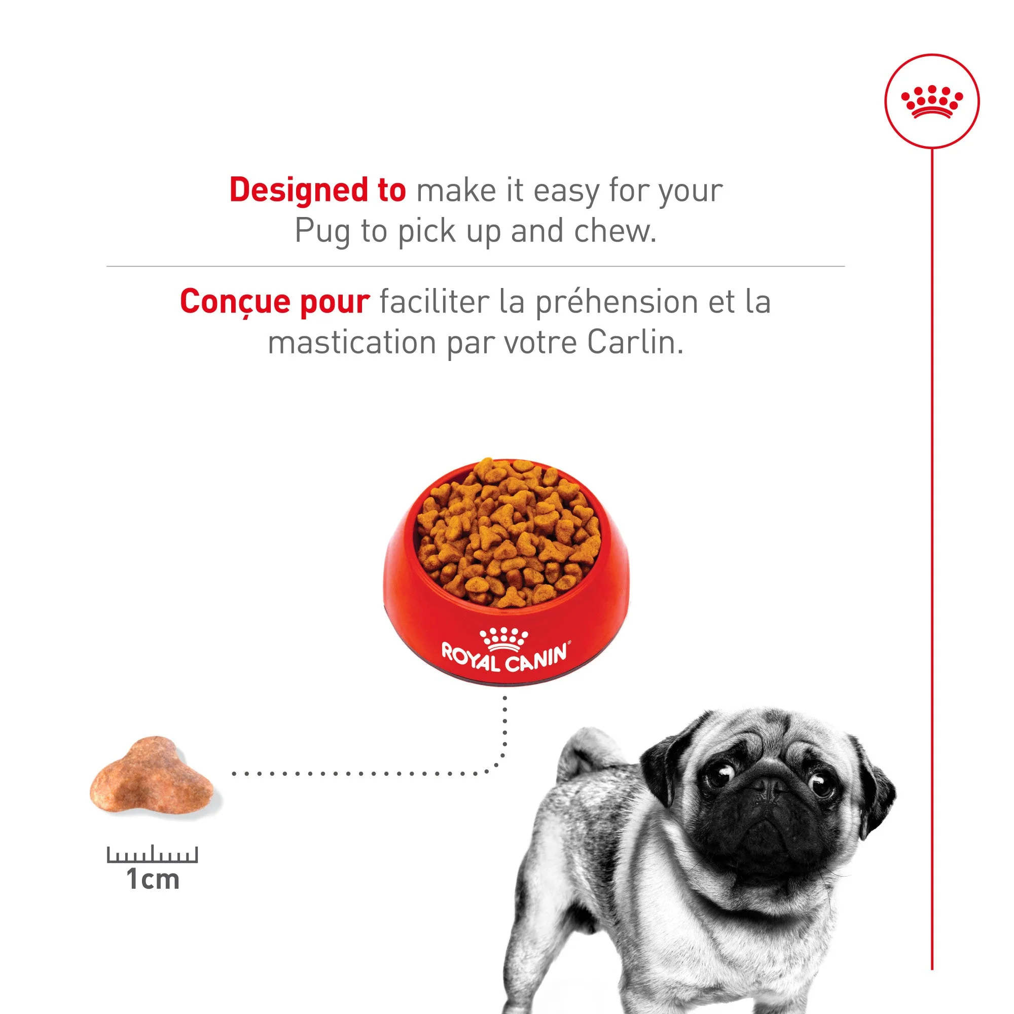 Royal Canin® Breed Health Nutrition® Pug Adult Dry Dog Food - Image 4