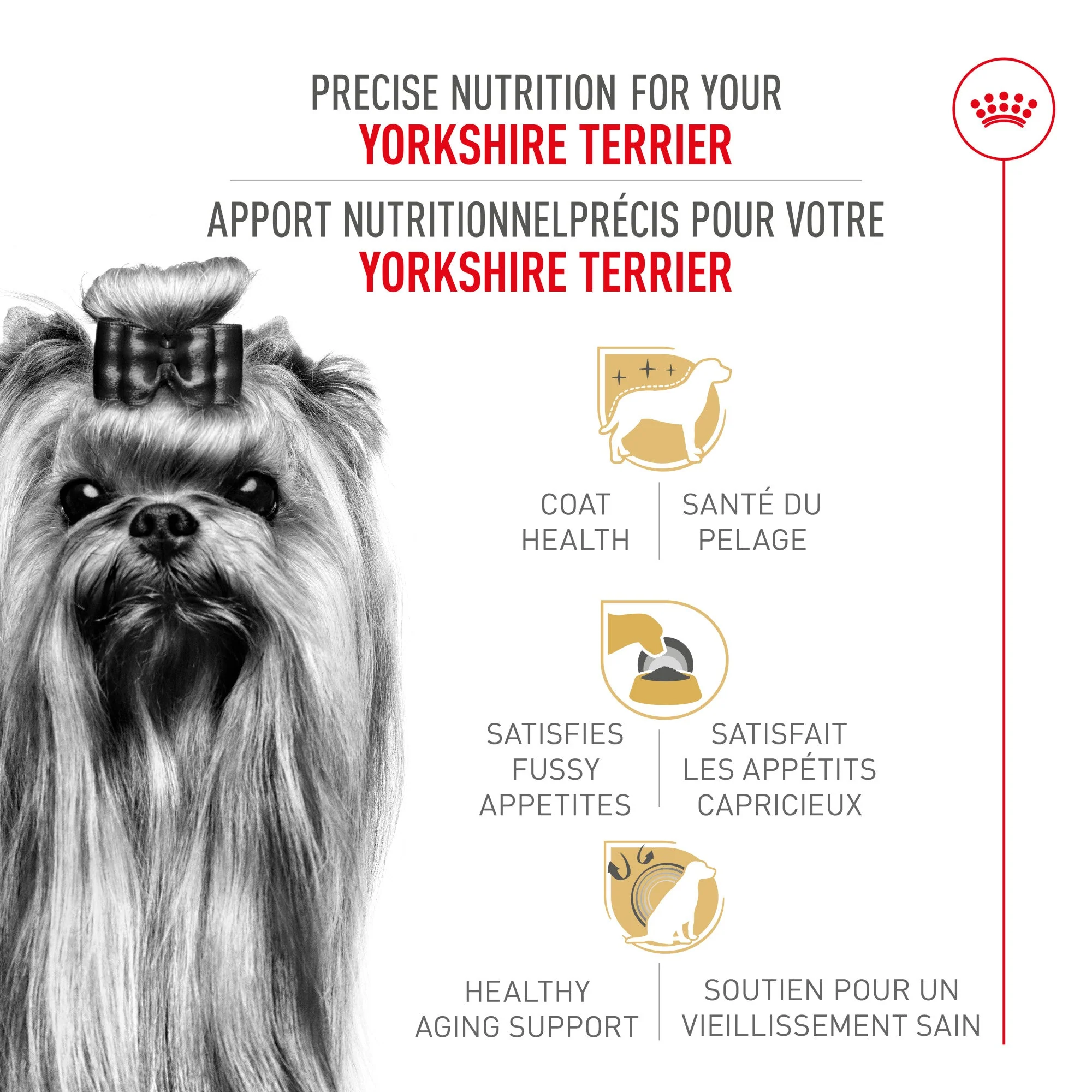 Royal Canin® Breed Health Nutrition® Yorkshire Terrier Adult Dry Dog Food - Image 2