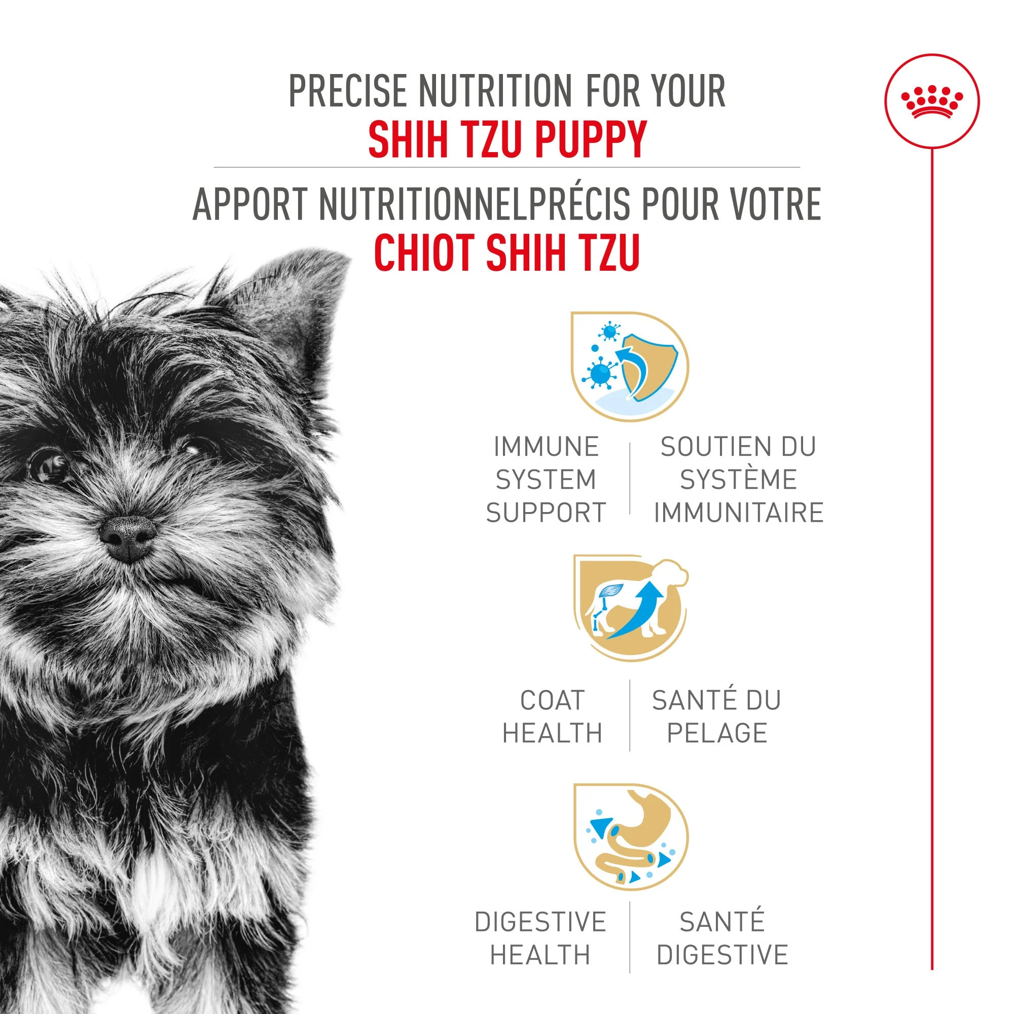 Royal Canin® Breed Health Nutrition® Yorkshire Terrier Puppy Dry Puppy Food - Image 2