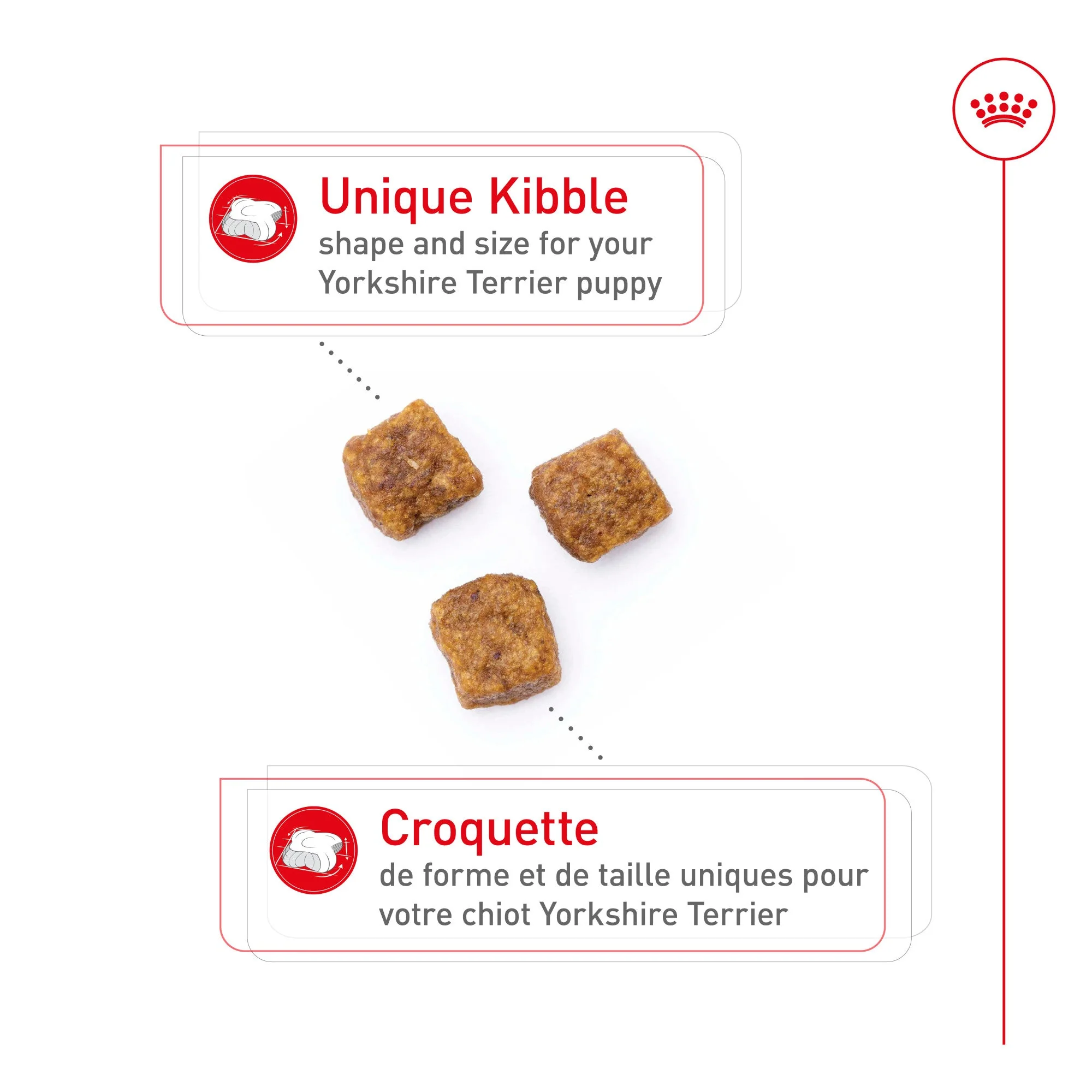 Royal Canin® Breed Health Nutrition® Yorkshire Terrier Puppy Dry Puppy Food - Image 3
