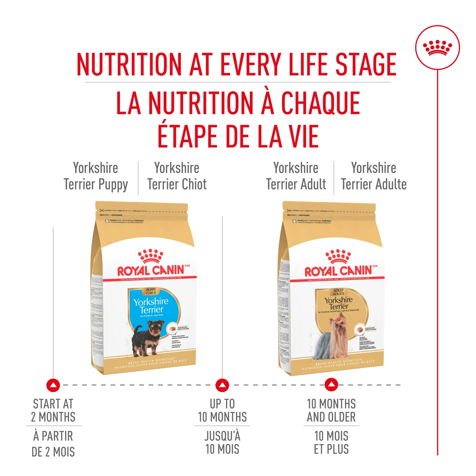 Royal Canin® Breed Health Nutrition® Yorkshire Terrier Puppy Dry Puppy Food - Image 7