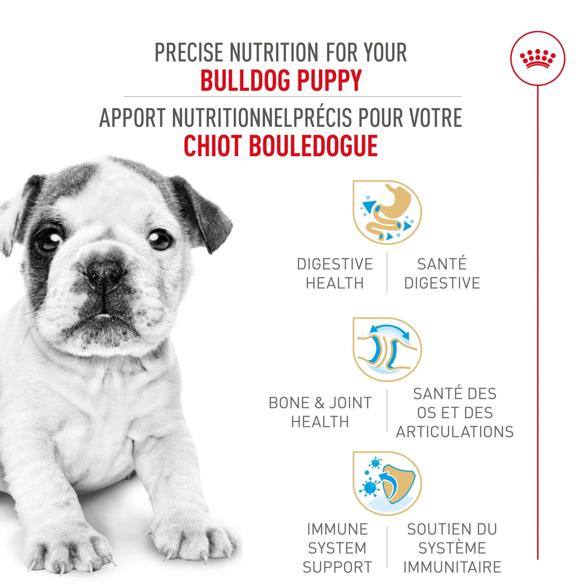 Royal Canin Bulldog Puppy Food - Image 2