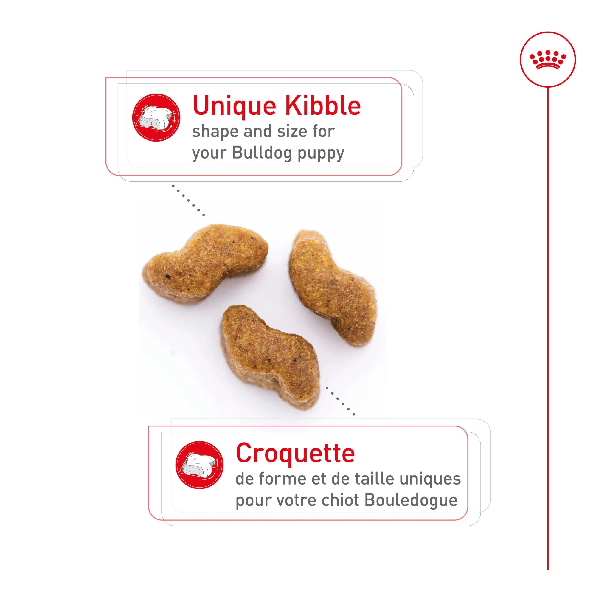 Royal Canin Bulldog Puppy Food - Image 3
