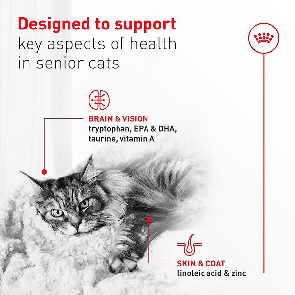 Royal Canin Feline Health Nutrition Aging 11+ Ultra Soft Mousse In Sauce Wet Canned Cat Food - Image 3