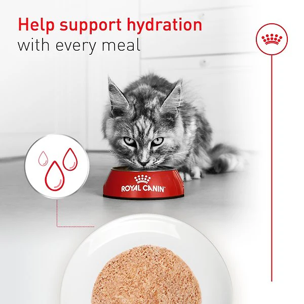 Royal Canin Feline Health Nutrition Aging 11+ Ultra Soft Mousse In Sauce Wet Canned Cat Food - Image 5