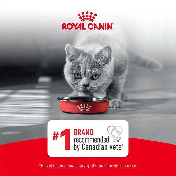 Royal Canin Feline Health Nutrition Aging 11+ Ultra Soft Mousse In Sauce Wet Canned Cat Food - Image 7