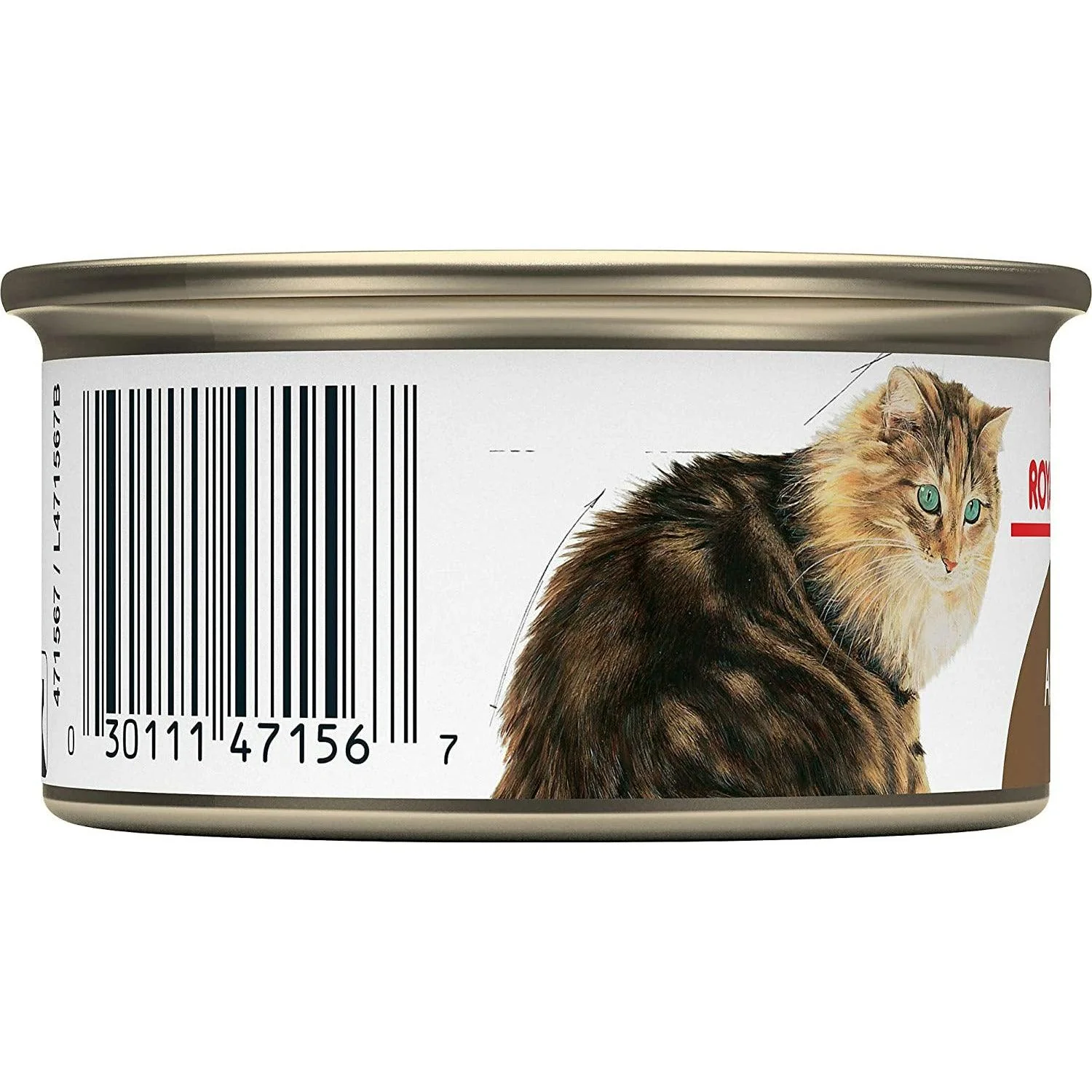 Royal Canin Canned Cat Food Aging 12+ Thin Slices In Gravy - Image 4
