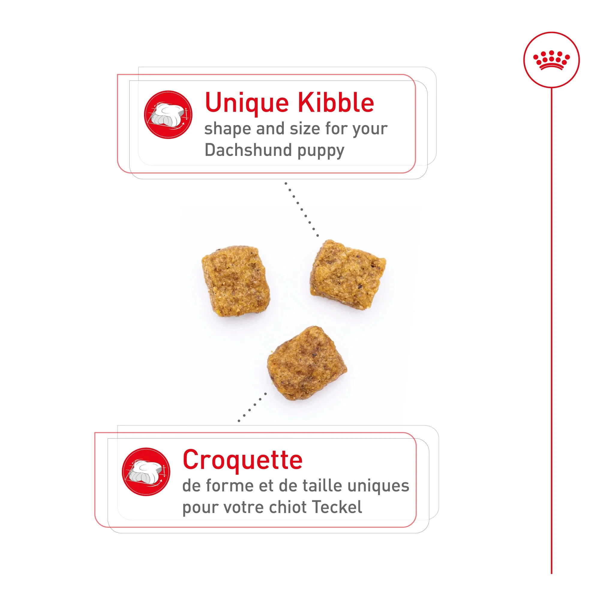 Royal Canin Dachshund Puppy Food - Image 3