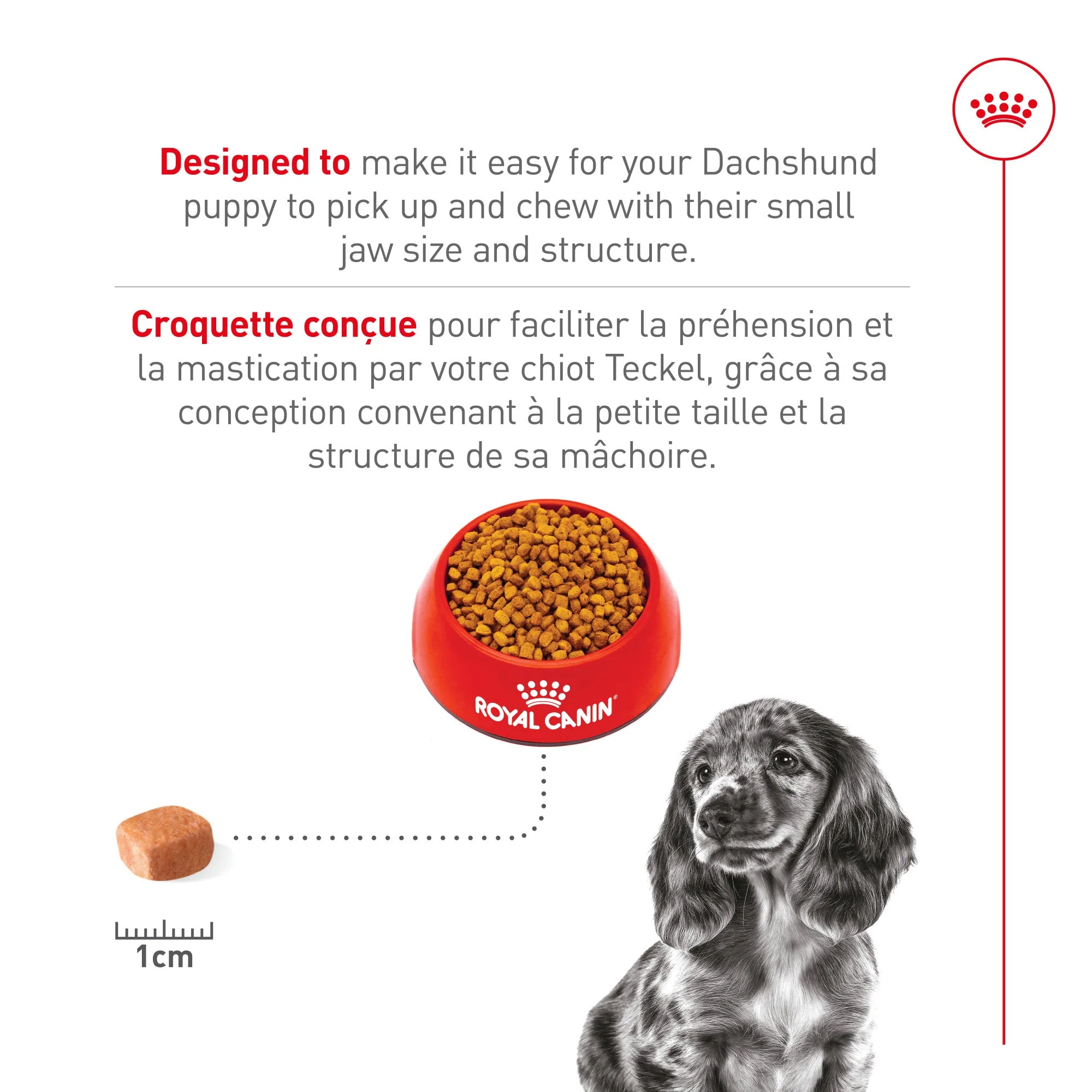 Royal Canin Dachshund Puppy Food - Image 4