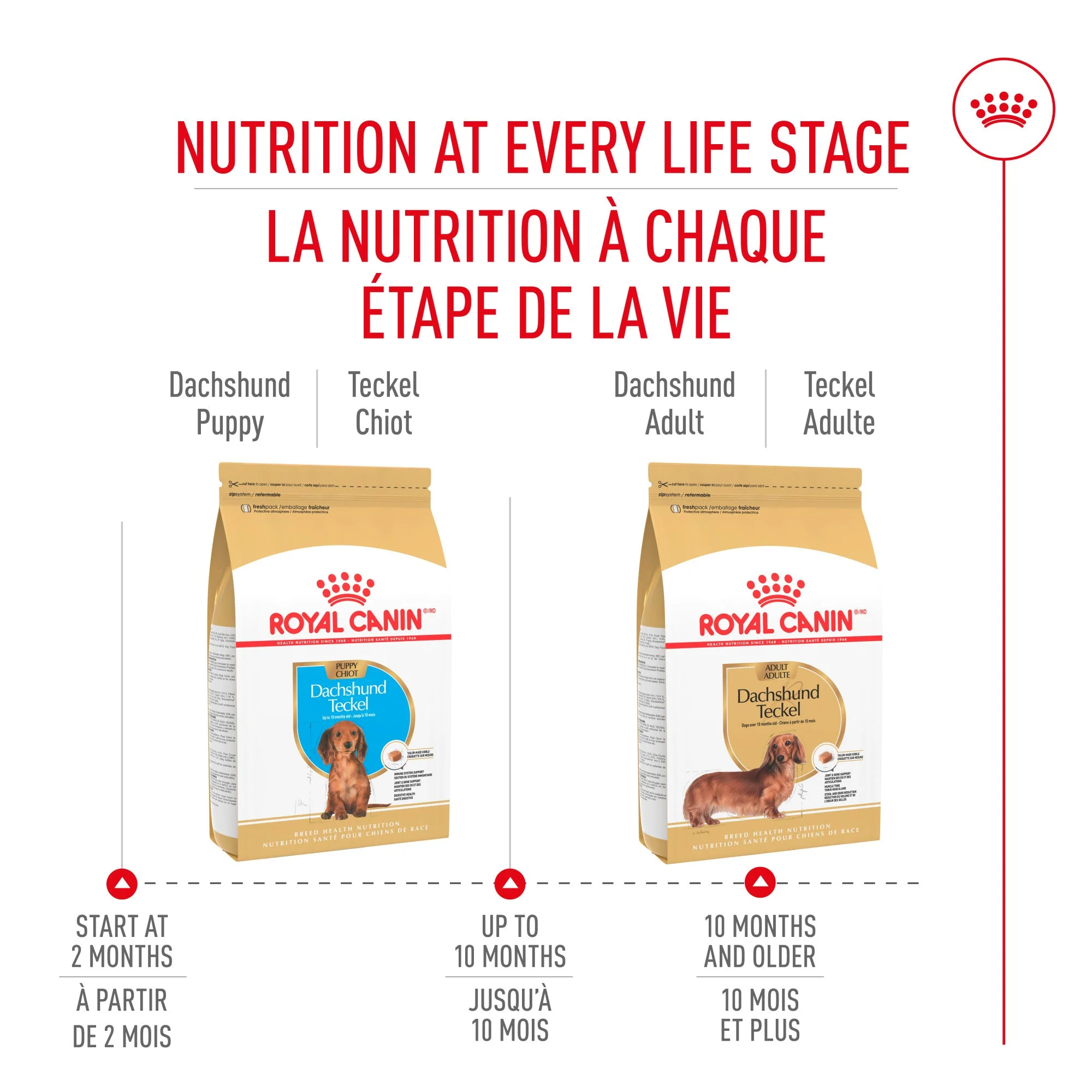 Royal Canin Dachshund Puppy Food - Image 7