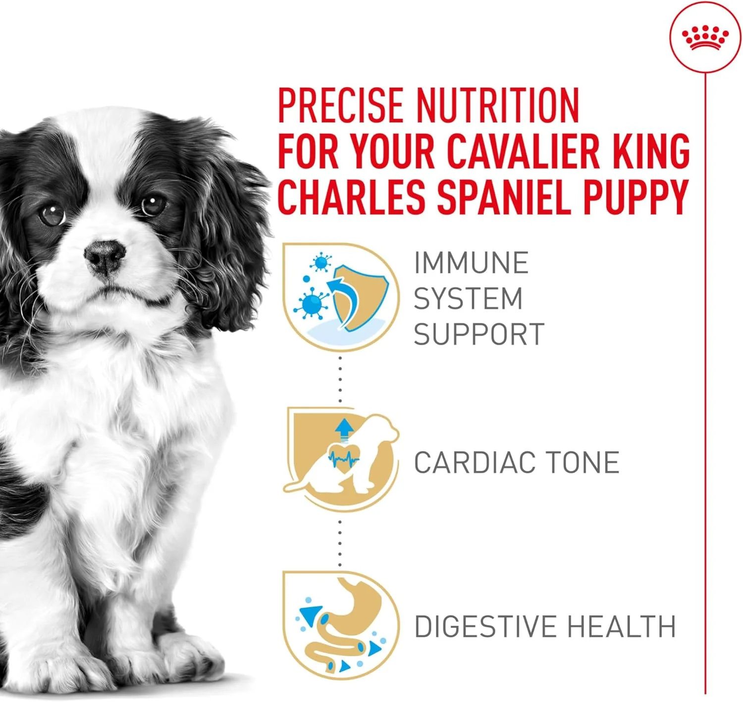 Royal Canin Breed Health Nutrition Cavalier King Charles Puppy Dry Dog Food - Image 10