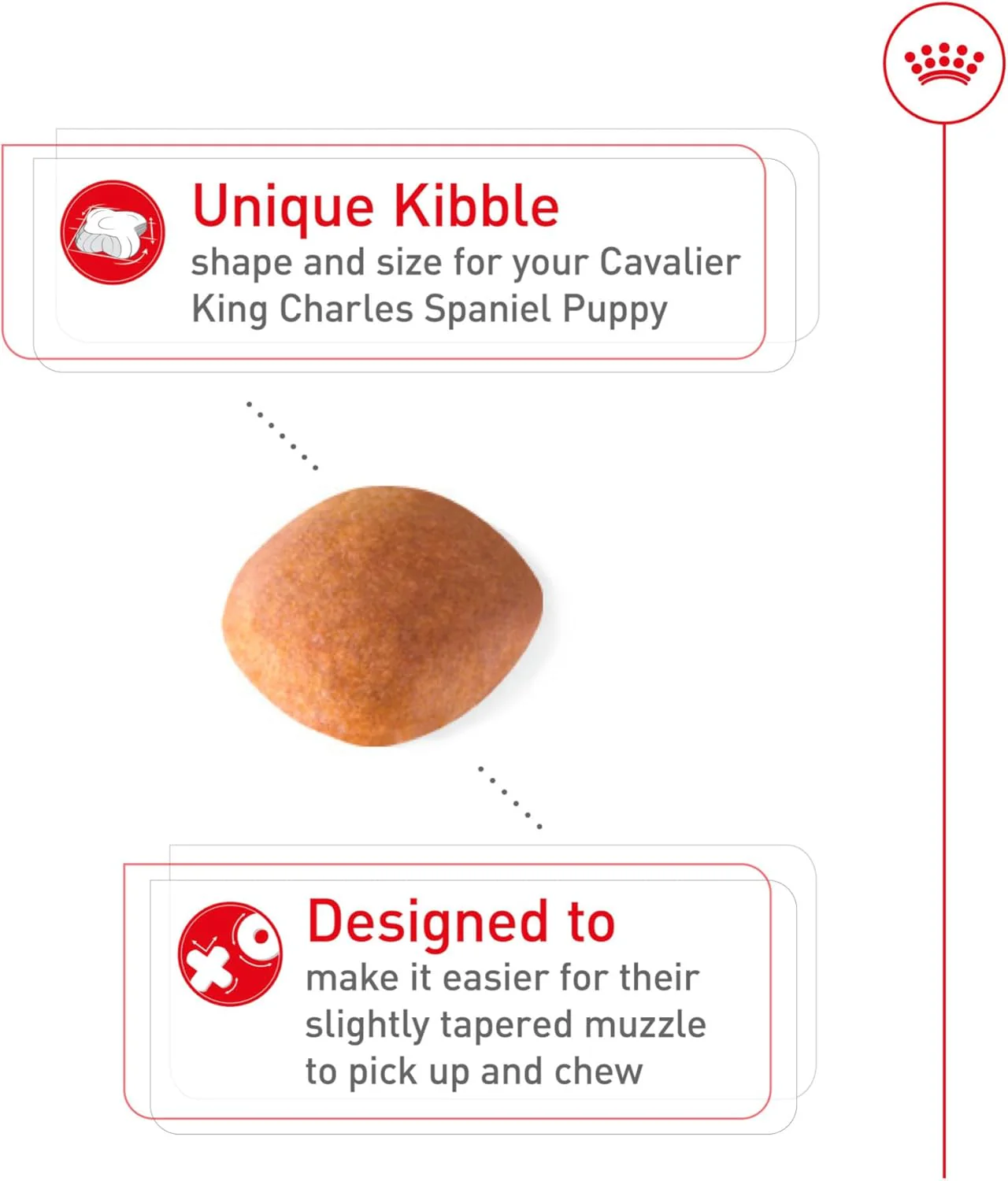 Royal Canin Breed Health Nutrition Cavalier King Charles Puppy Dry Dog Food - Image 2