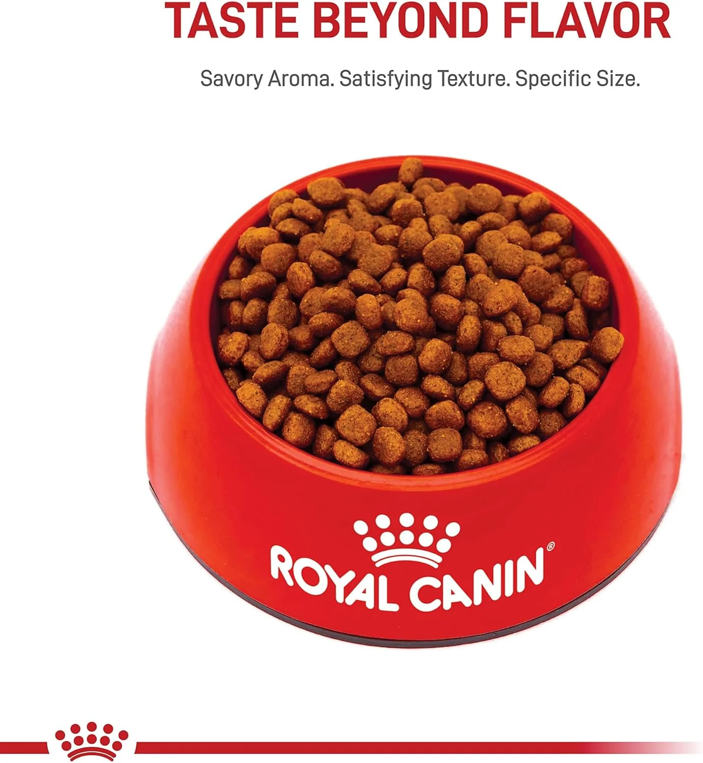 Royal Canin Breed Health Nutrition Cavalier King Charles Puppy Dry Dog Food - Image 5